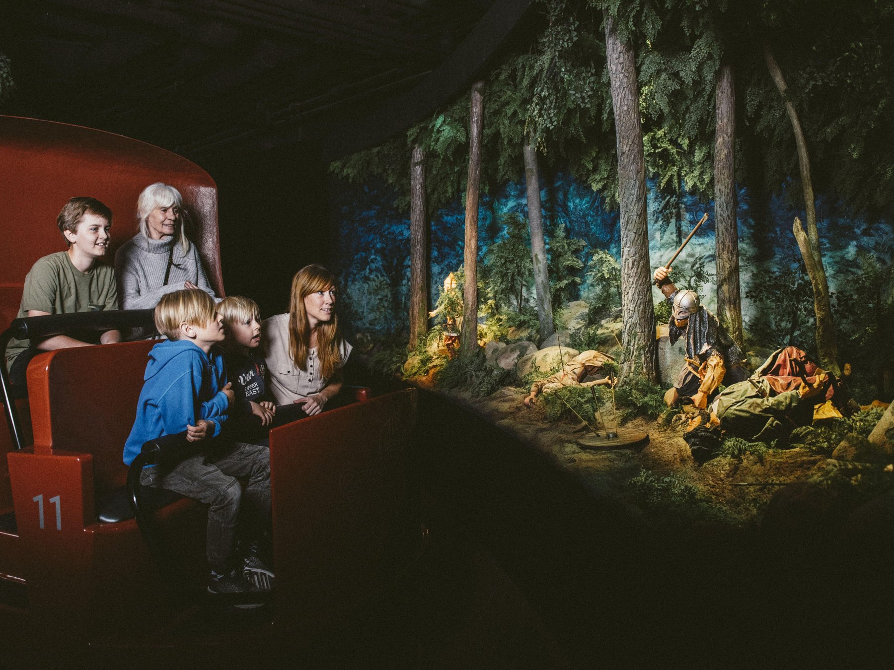 Wikinger-Museum: Eintrittskarte