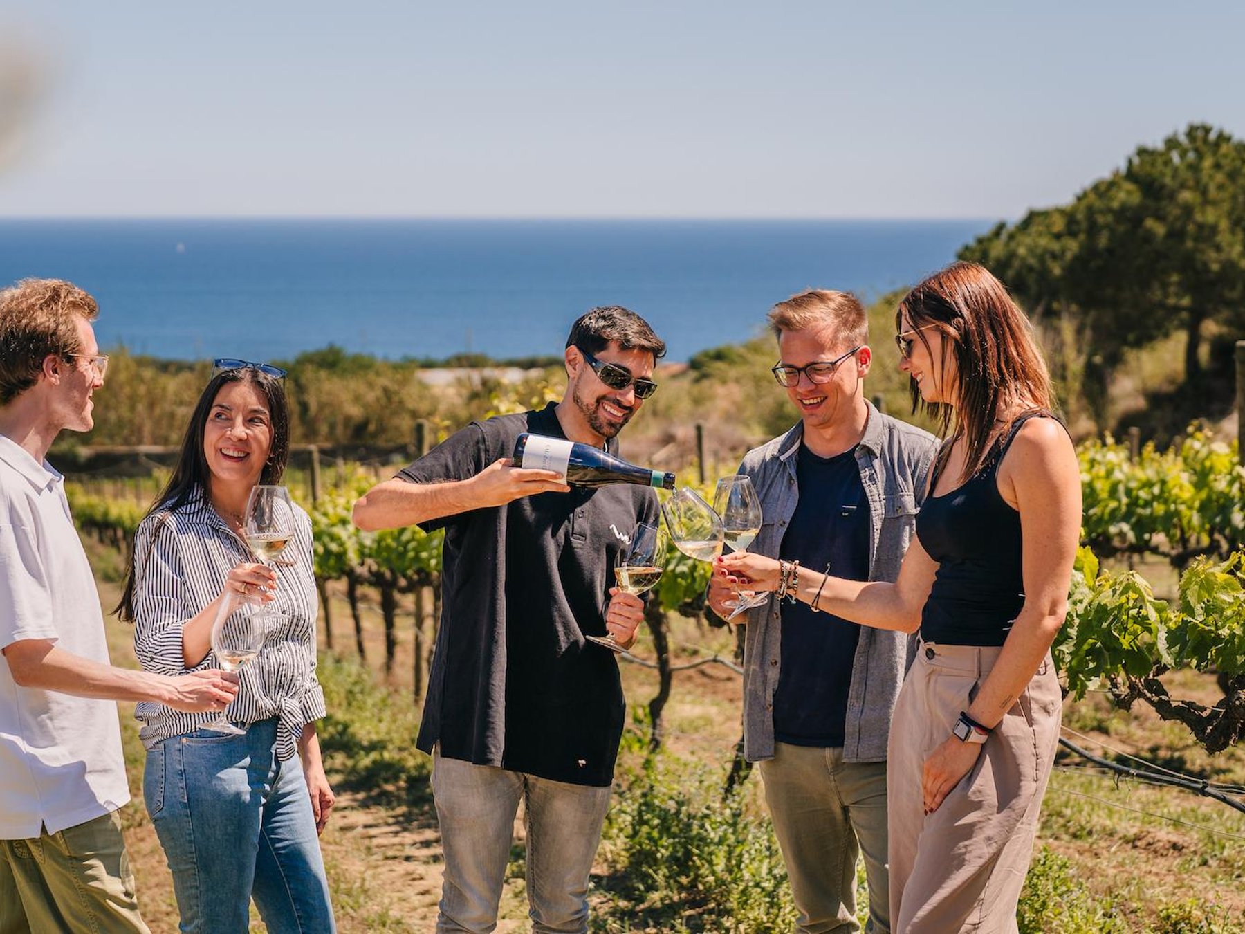 Sailing Cruise & Vineyard Tour with Wine Tasting