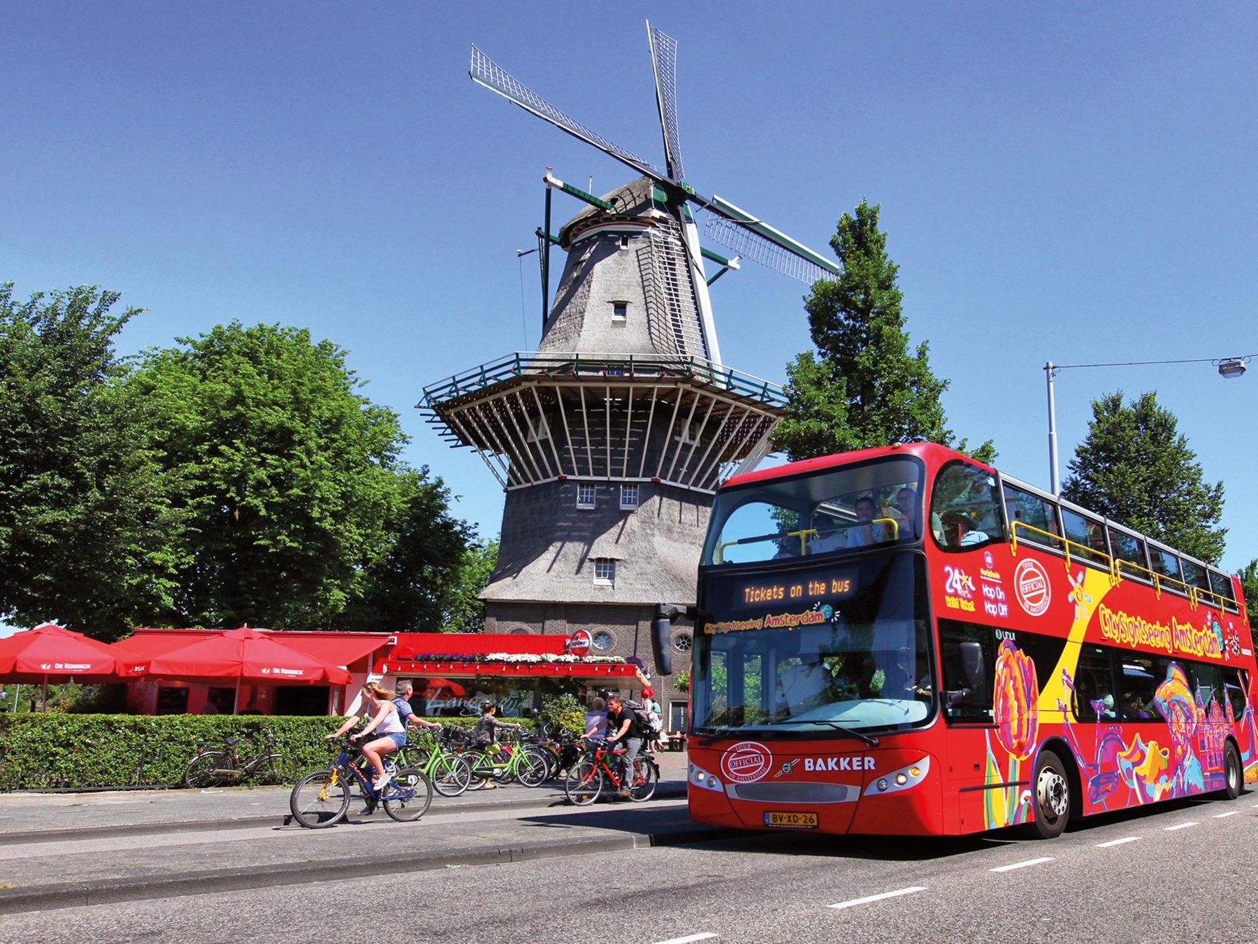 Hop-On Hop-Off Bus