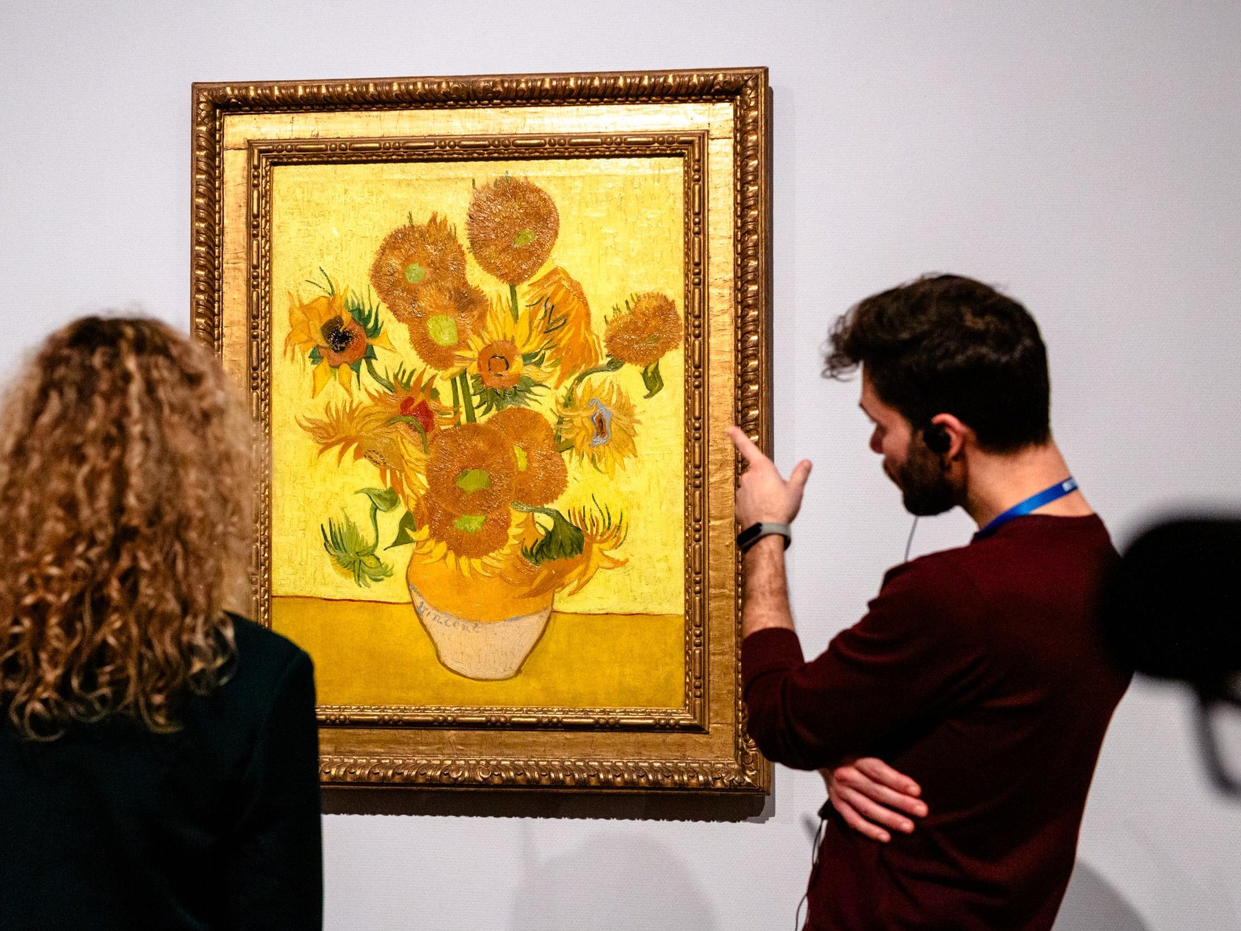 Van Gogh Museum: Kleinegroepstour