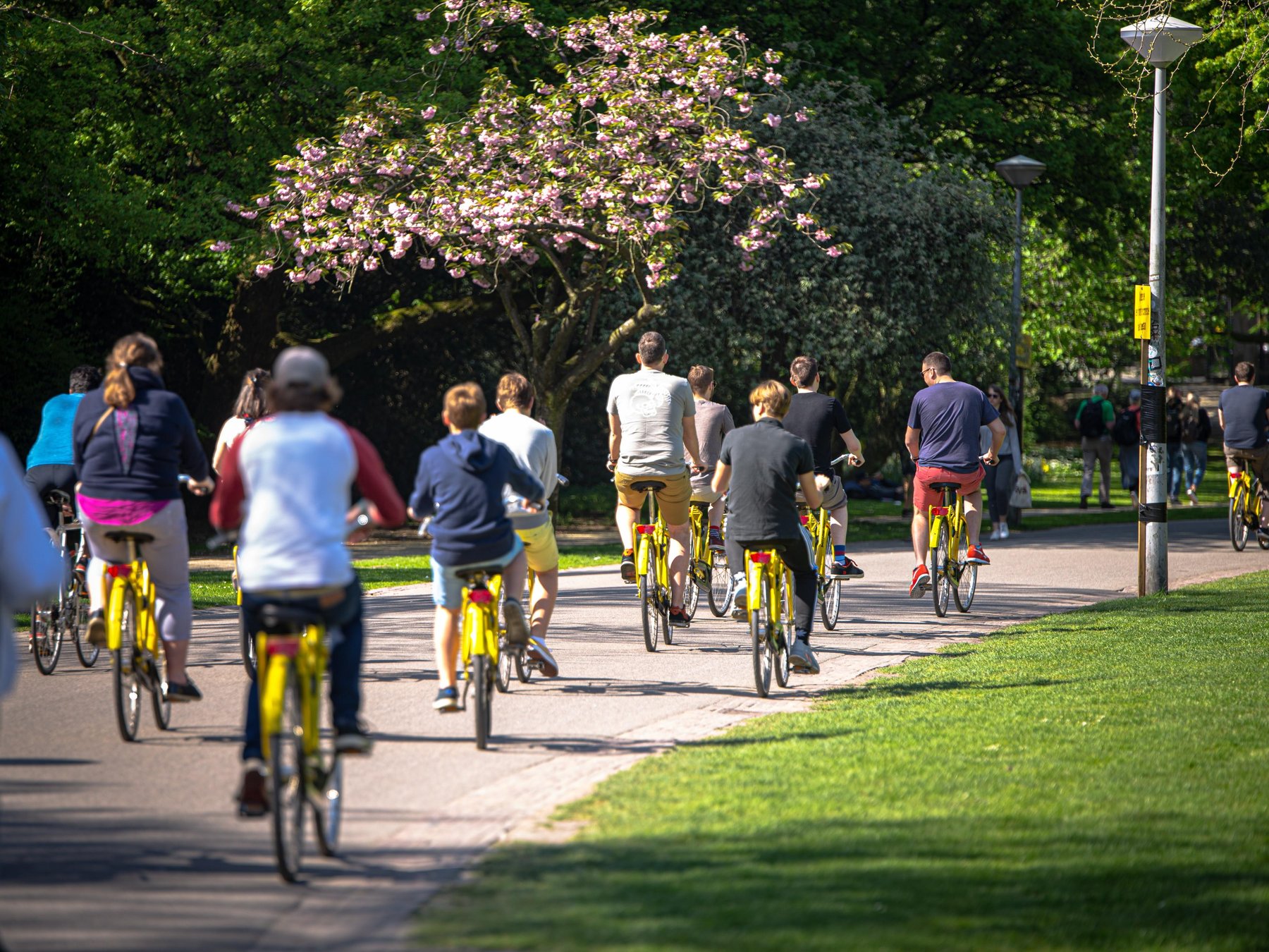 Amsterdam: Familien-Fahrradtour mit Bingo und Stroopwafel