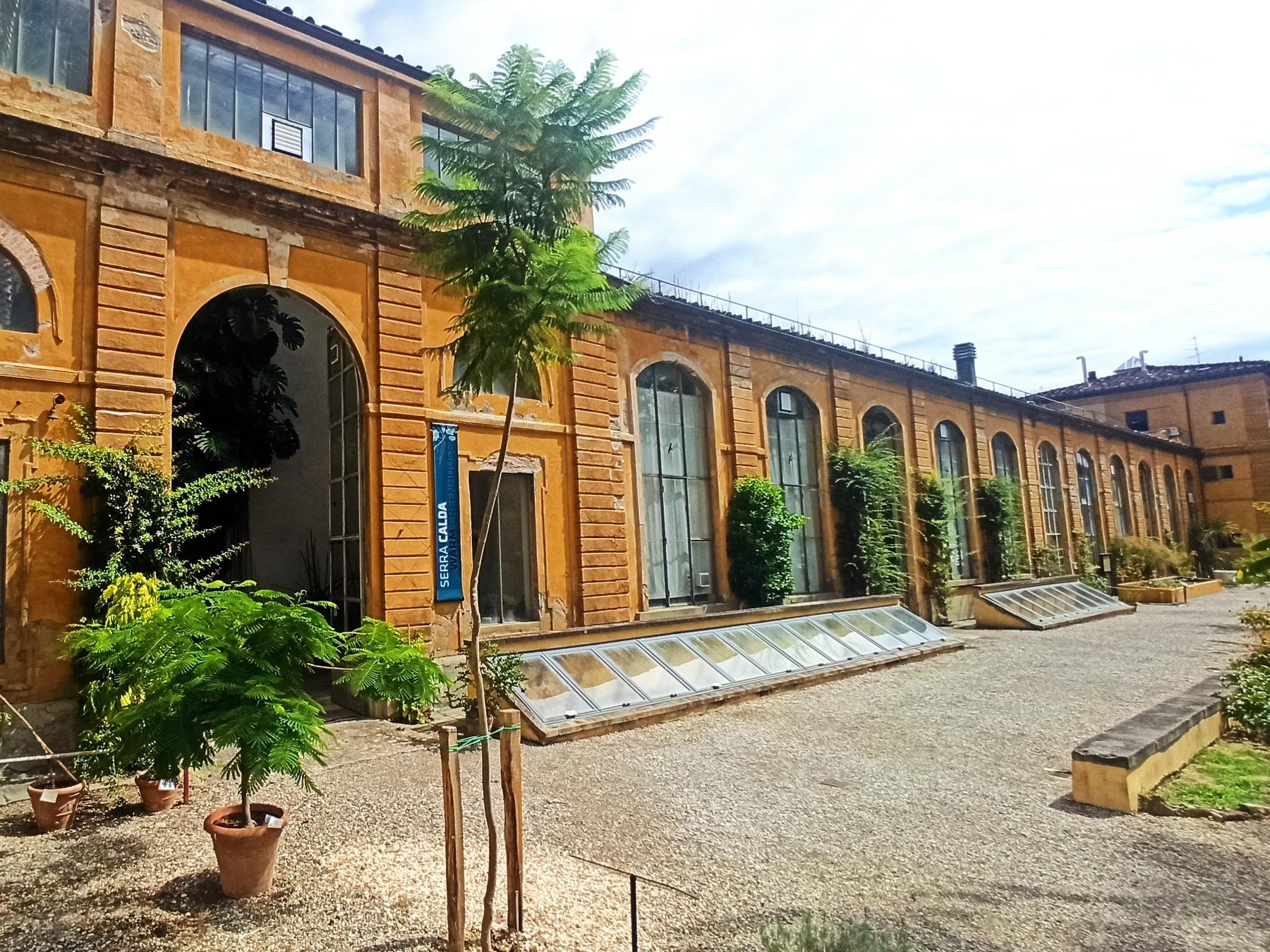 Florenz: Museumsführung im Naturhistorischen Museum mit Gelato-Pause