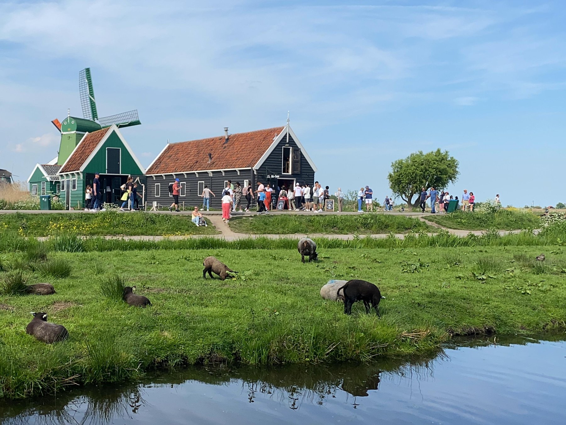 Zaanse Schans und Zaandijk: Windmühlen, Schokolade & Käse