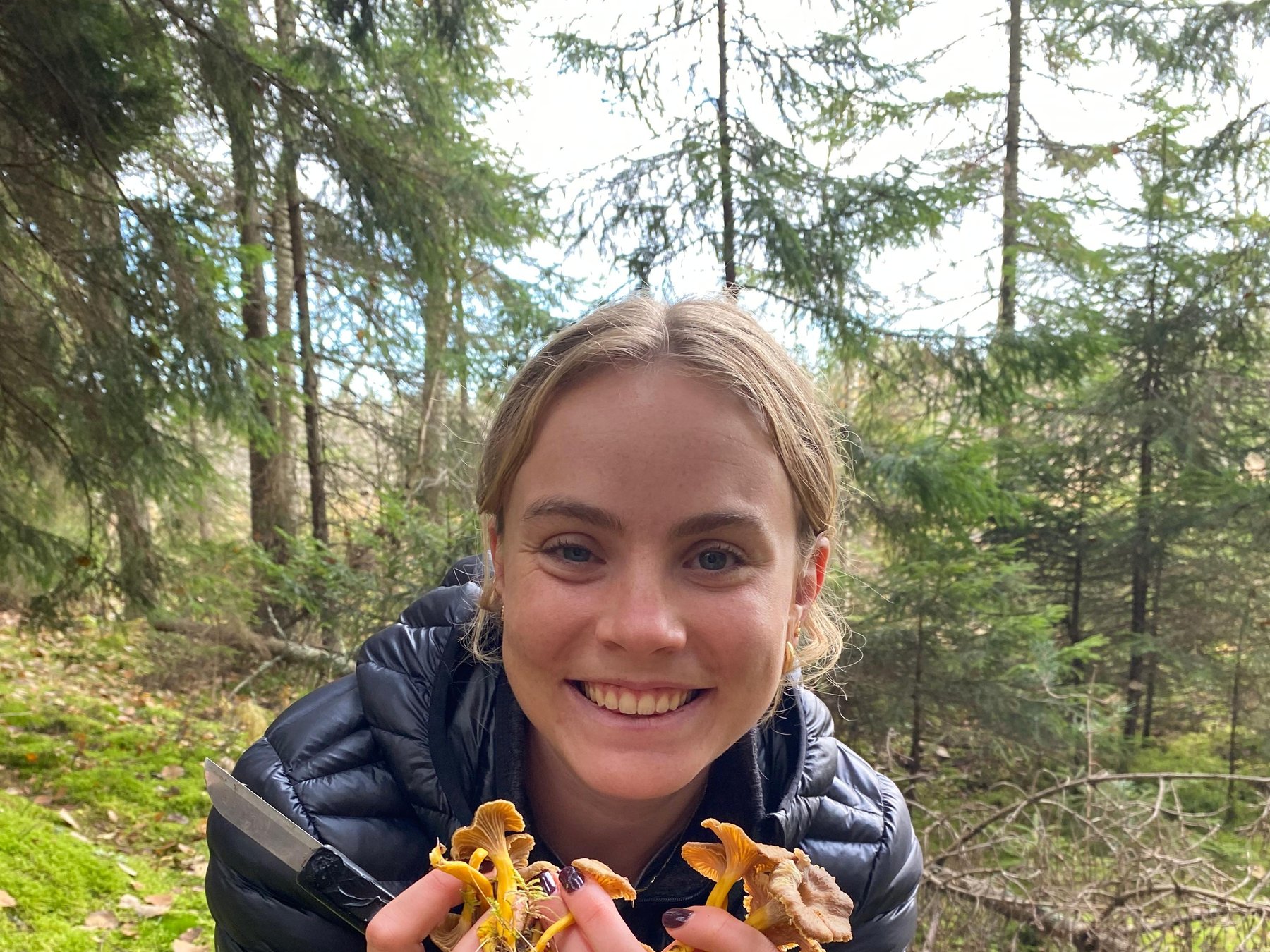 Pilz- und Beeren-Sammeltour mit Mittagessen