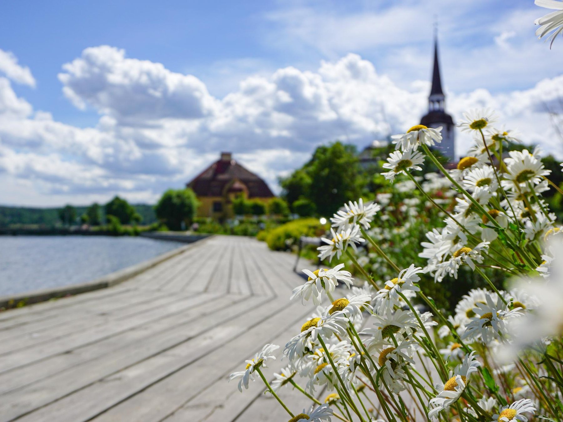 SigtunaPrivate Romantic Walking Tour with Mariakyrkan