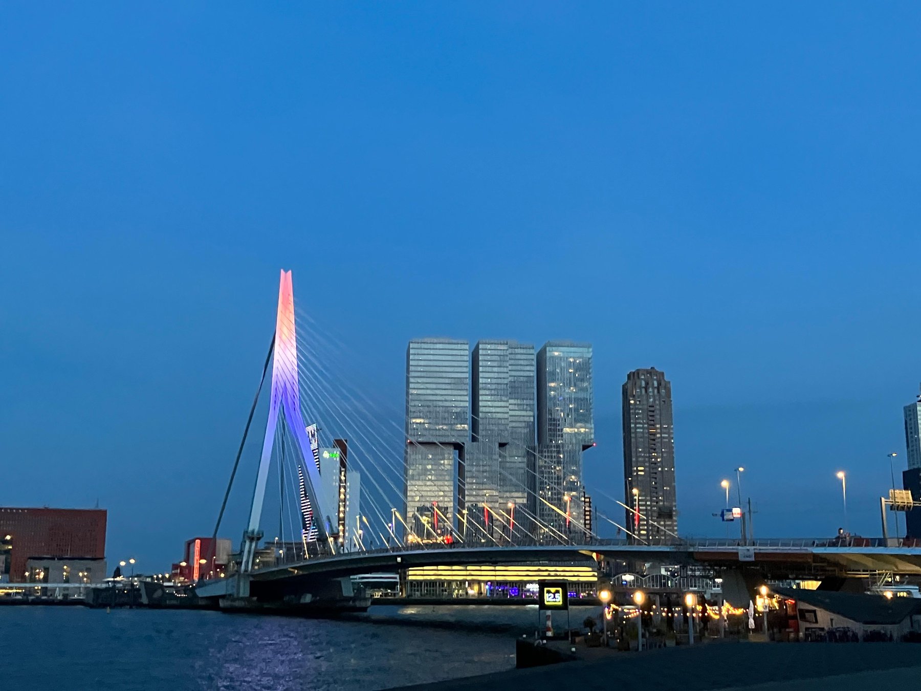 Holland: Lokaler japanischer Reiseführer 4 Stunden private Tour