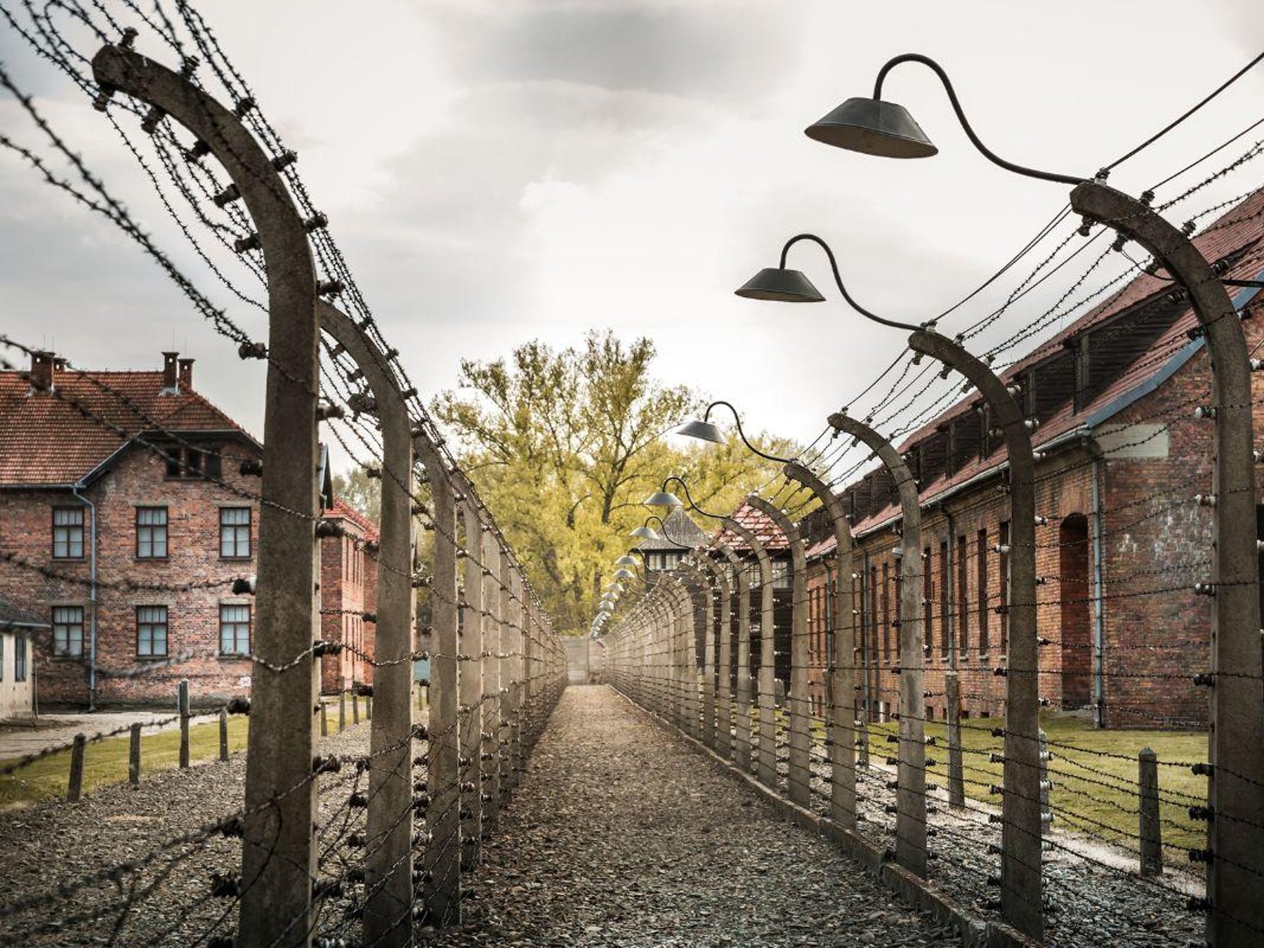 Prag Tour nach Auschwitz Birkenau