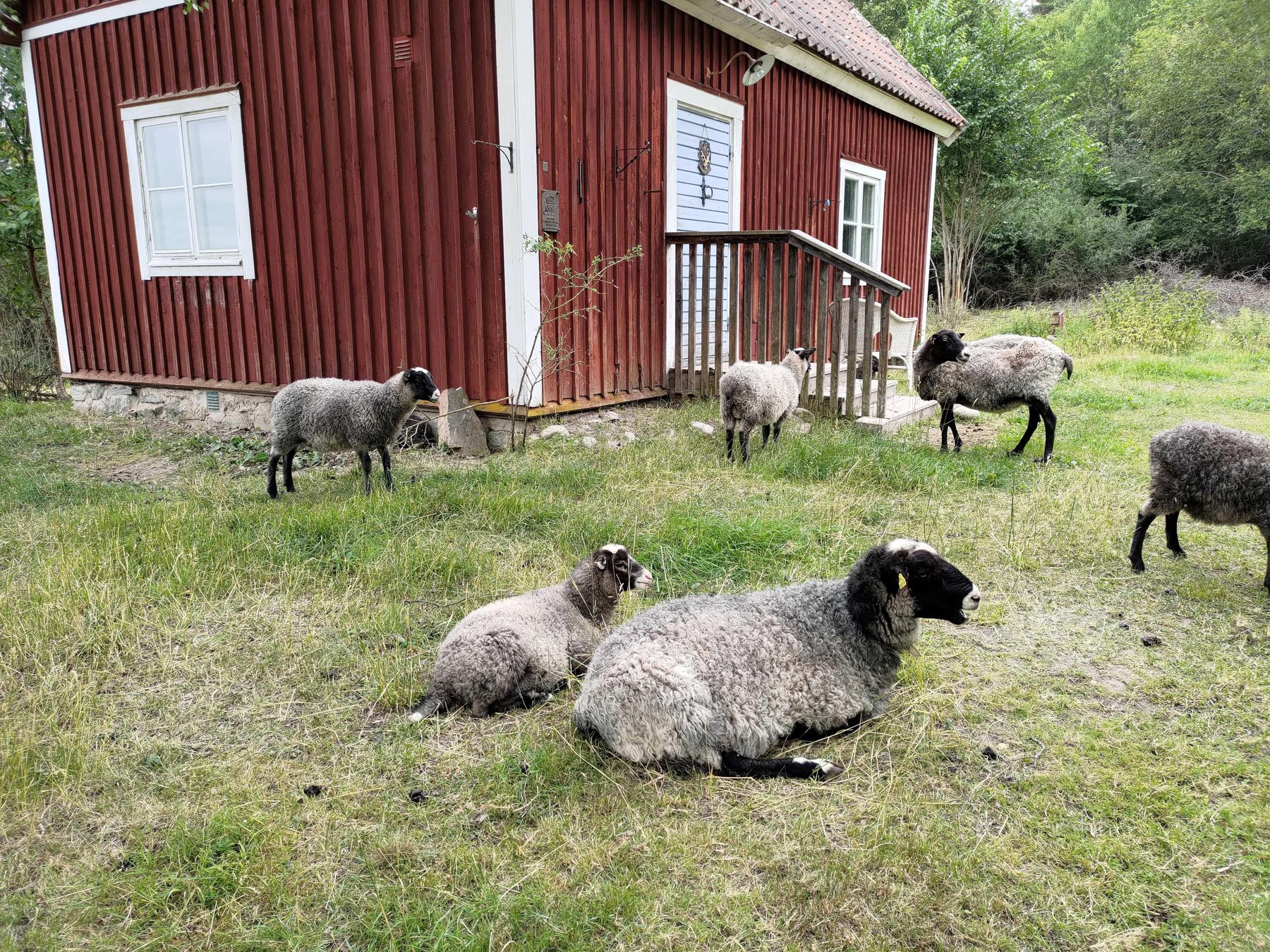 Uppland Food Tour mit Bauernhofbesuchen & Verkostungen