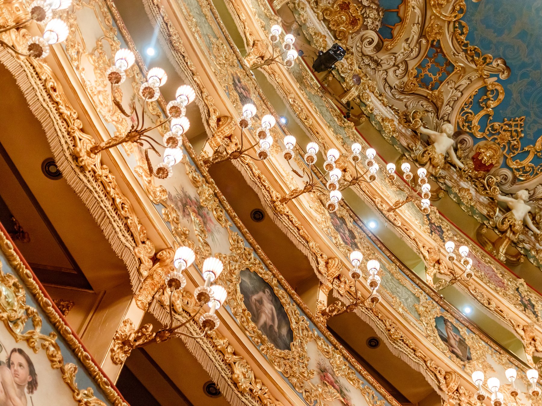 Das majestätische Teatro La Fenice: Geführte Tour in Venedig