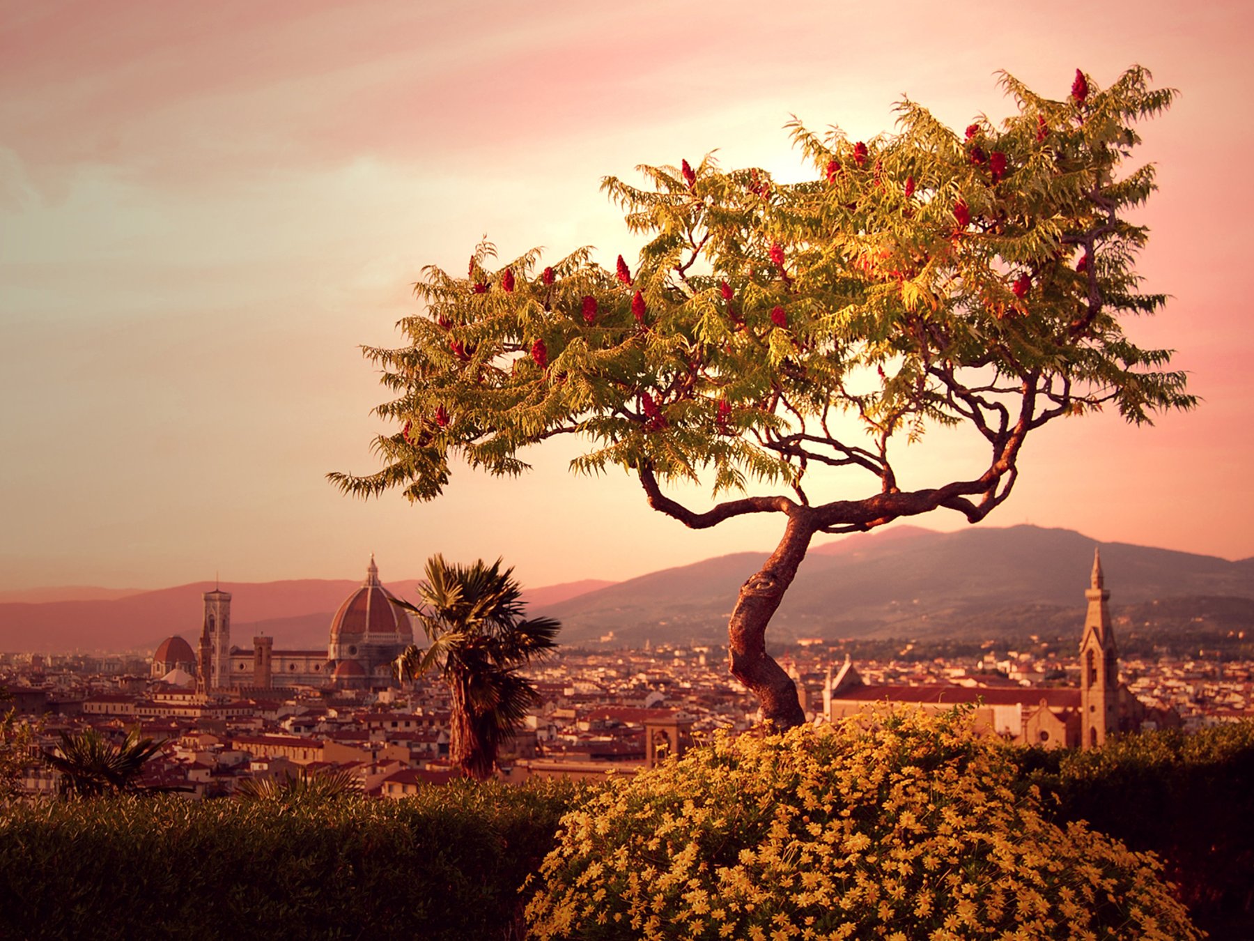 Besuche Florenz Tagesausflug nach Florenz mit dem Hochgeschwindigkeitszug