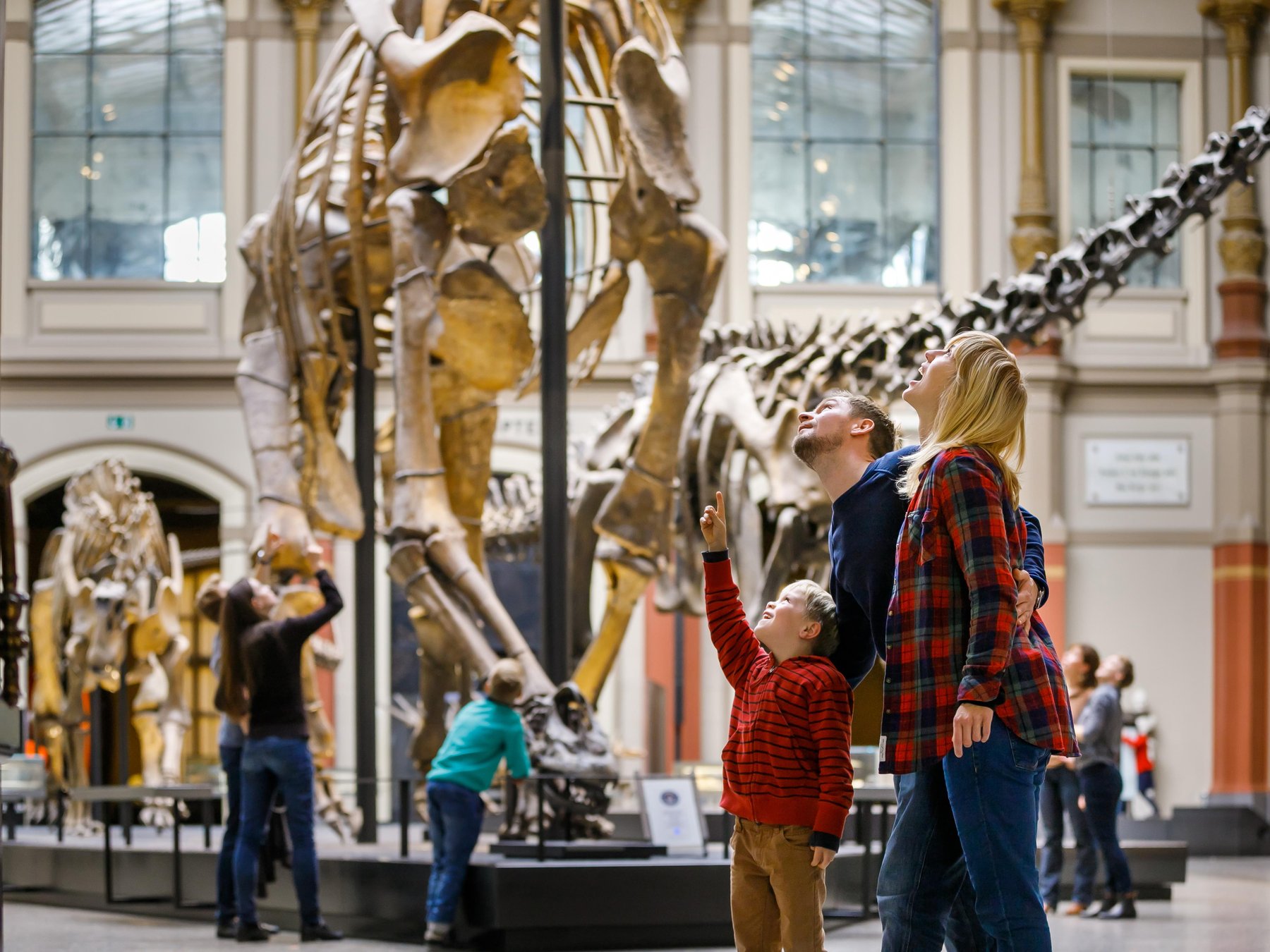 Natural History Museum Entrance Ticket30 minutes -