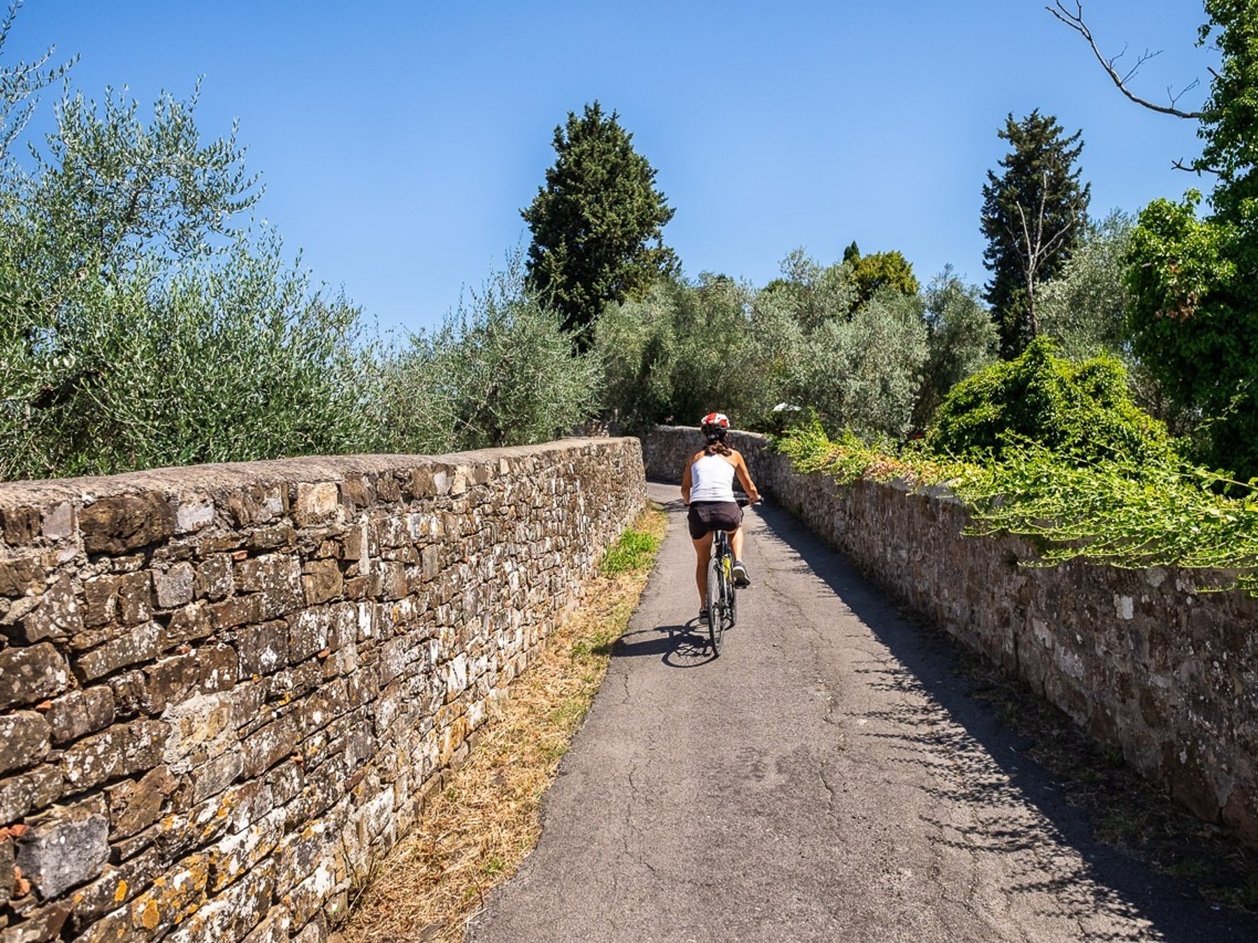Toskana Fahrradtour mit Wein & Olivenöl