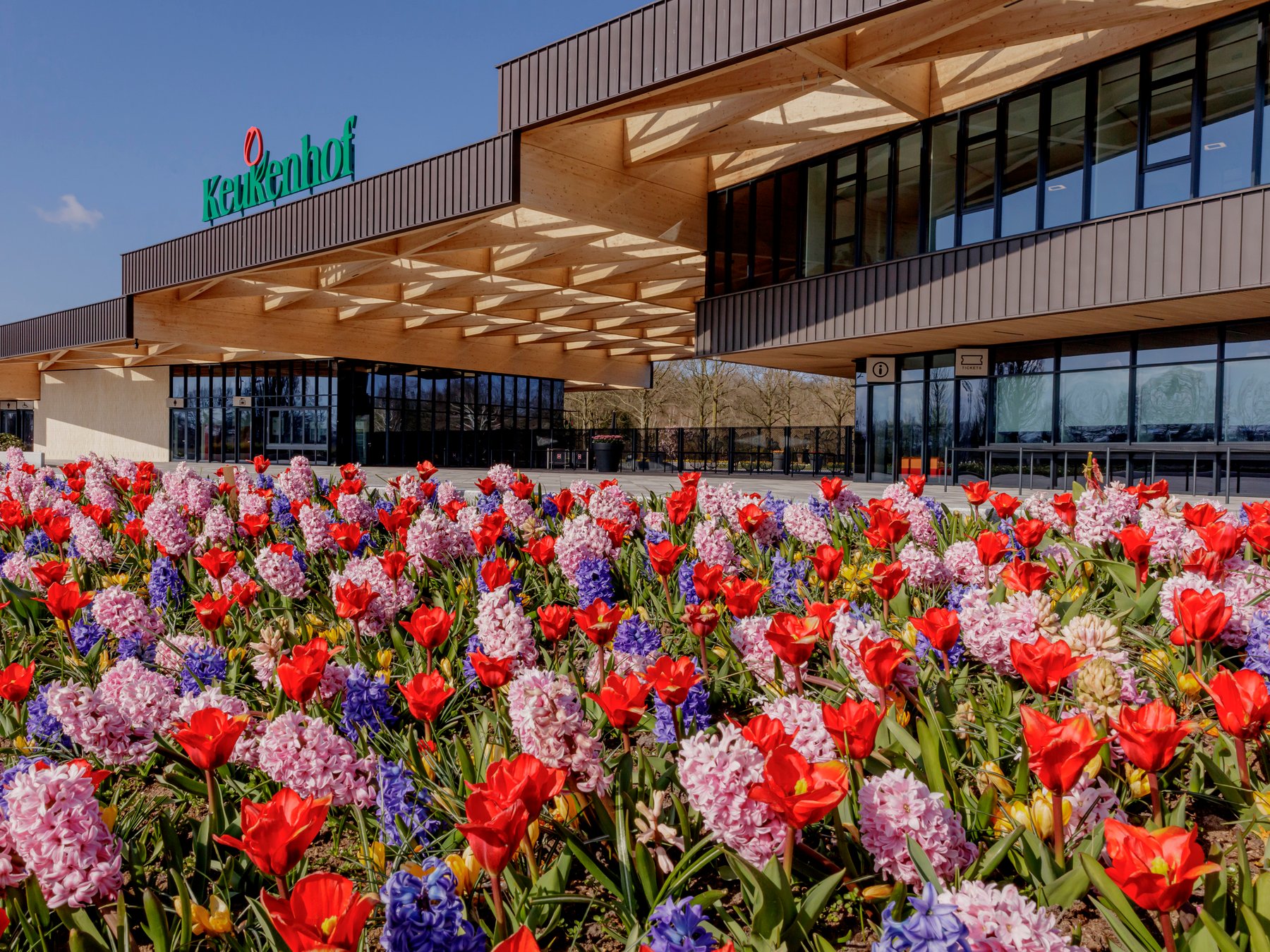 Halbtägige Blumenfelder- und Keukenhof-Fahrradtour