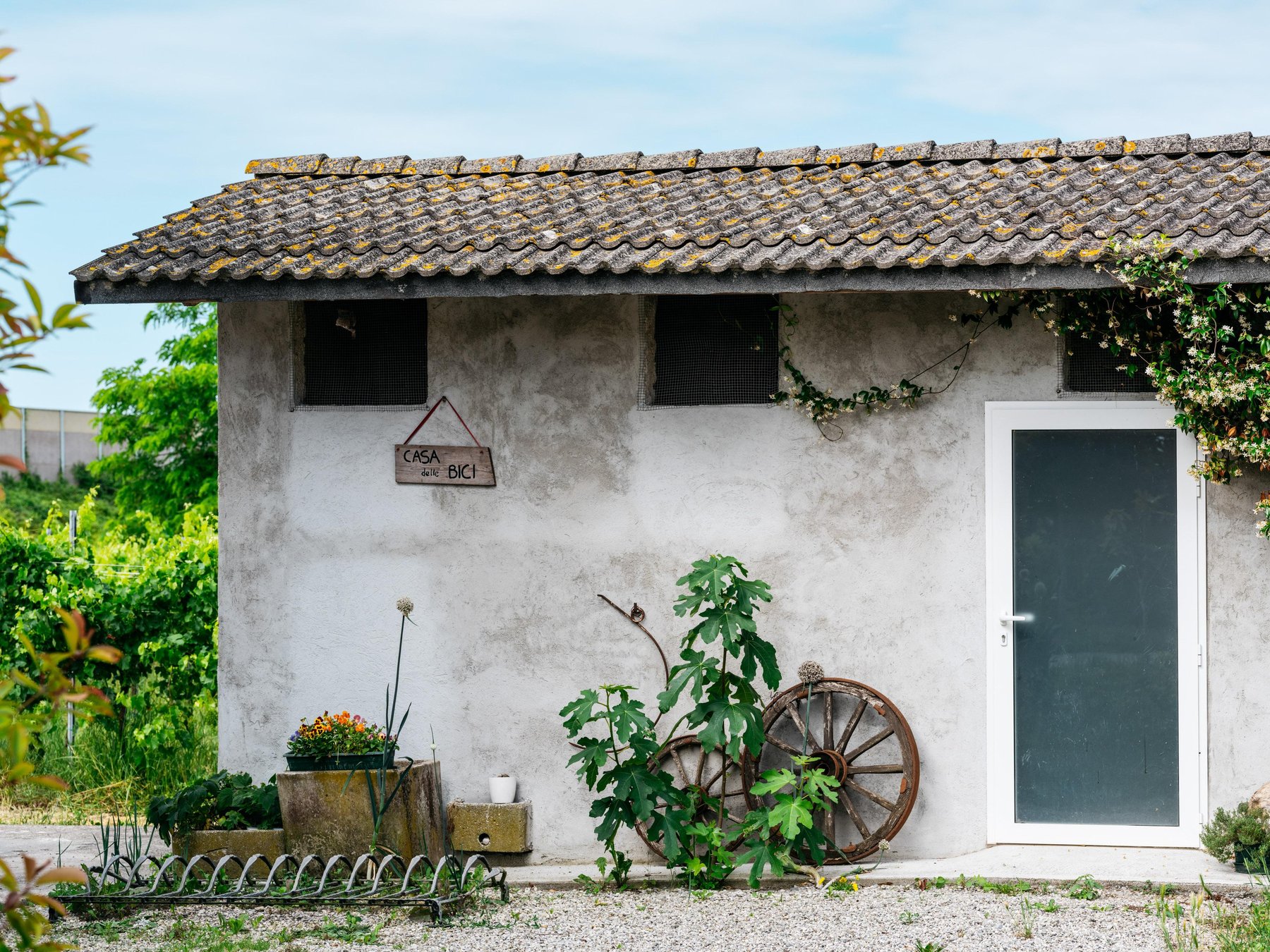 PortogruaroPortogruaro Fahrradtour: der wilde Tagliamento