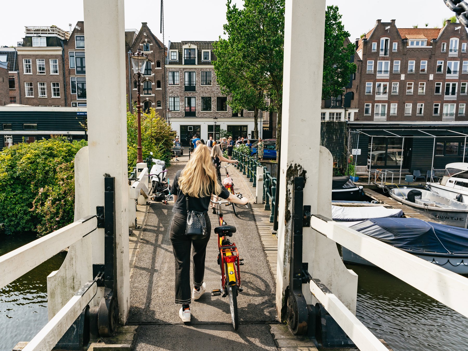 Große Amsterdam Fahrradtour: Alles sehen in 3 unvergesslichen Stunden