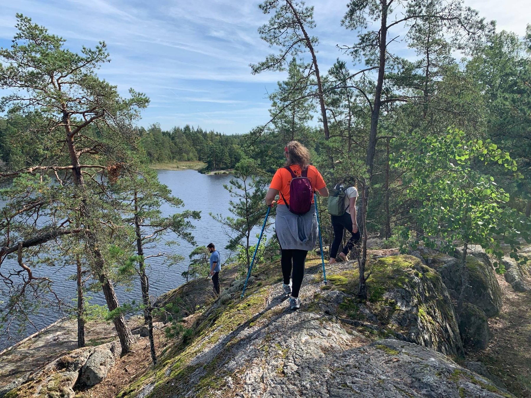 Stockholm: Tour durch das Naturreservat + Mittagessen am Lagerfeuer + Hin- und Rücktransport