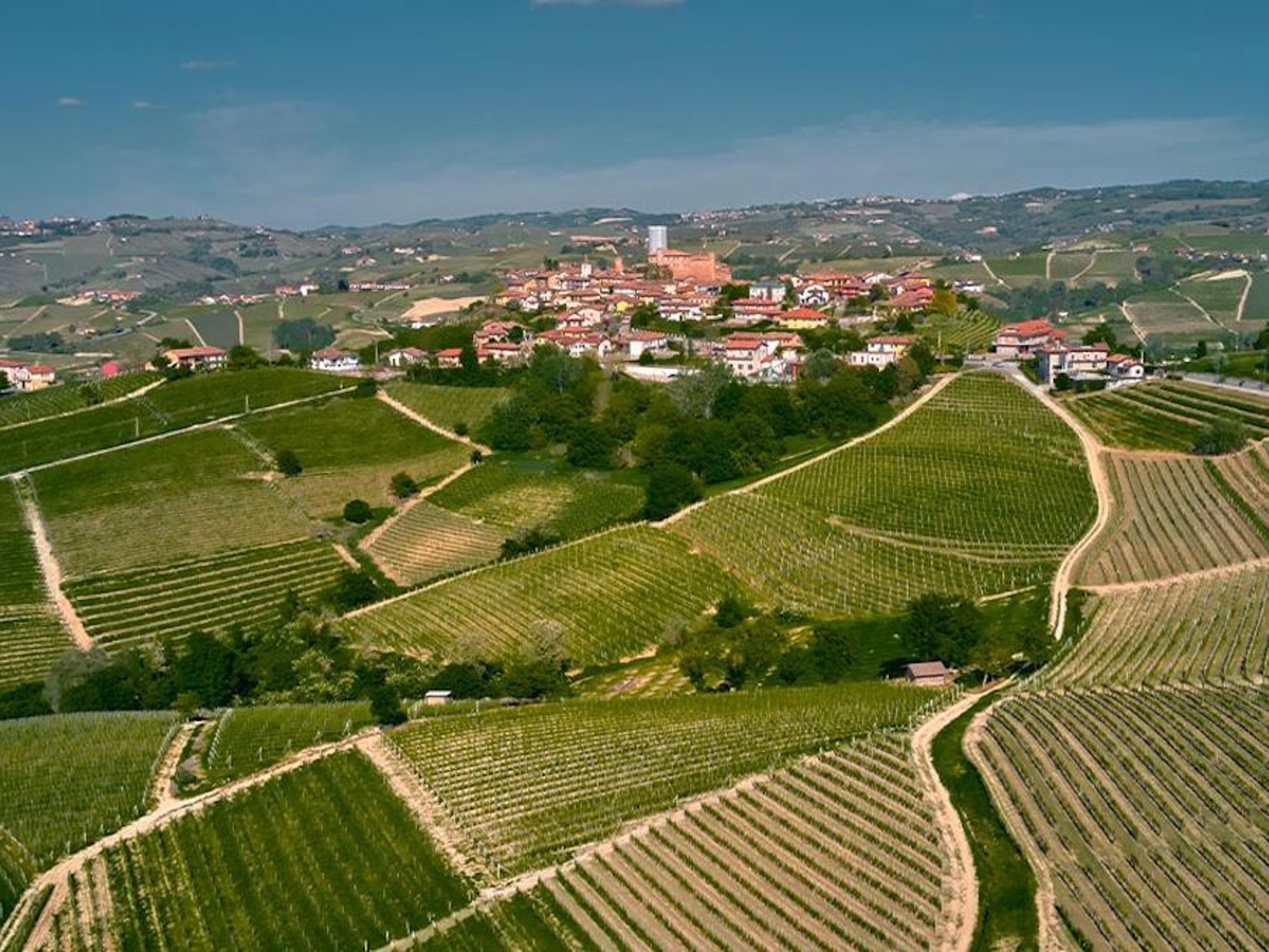Exklusive private 3-tägige Barolo-Weintour ab Florenz