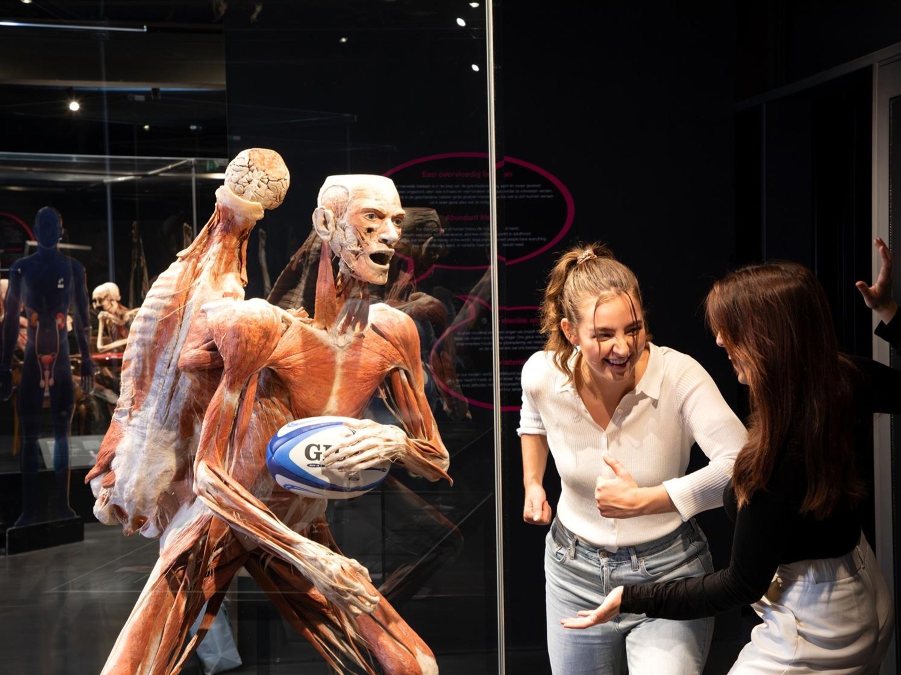 BODY WORLDS - The Happiness Project: Eintritt ohne Anstehen