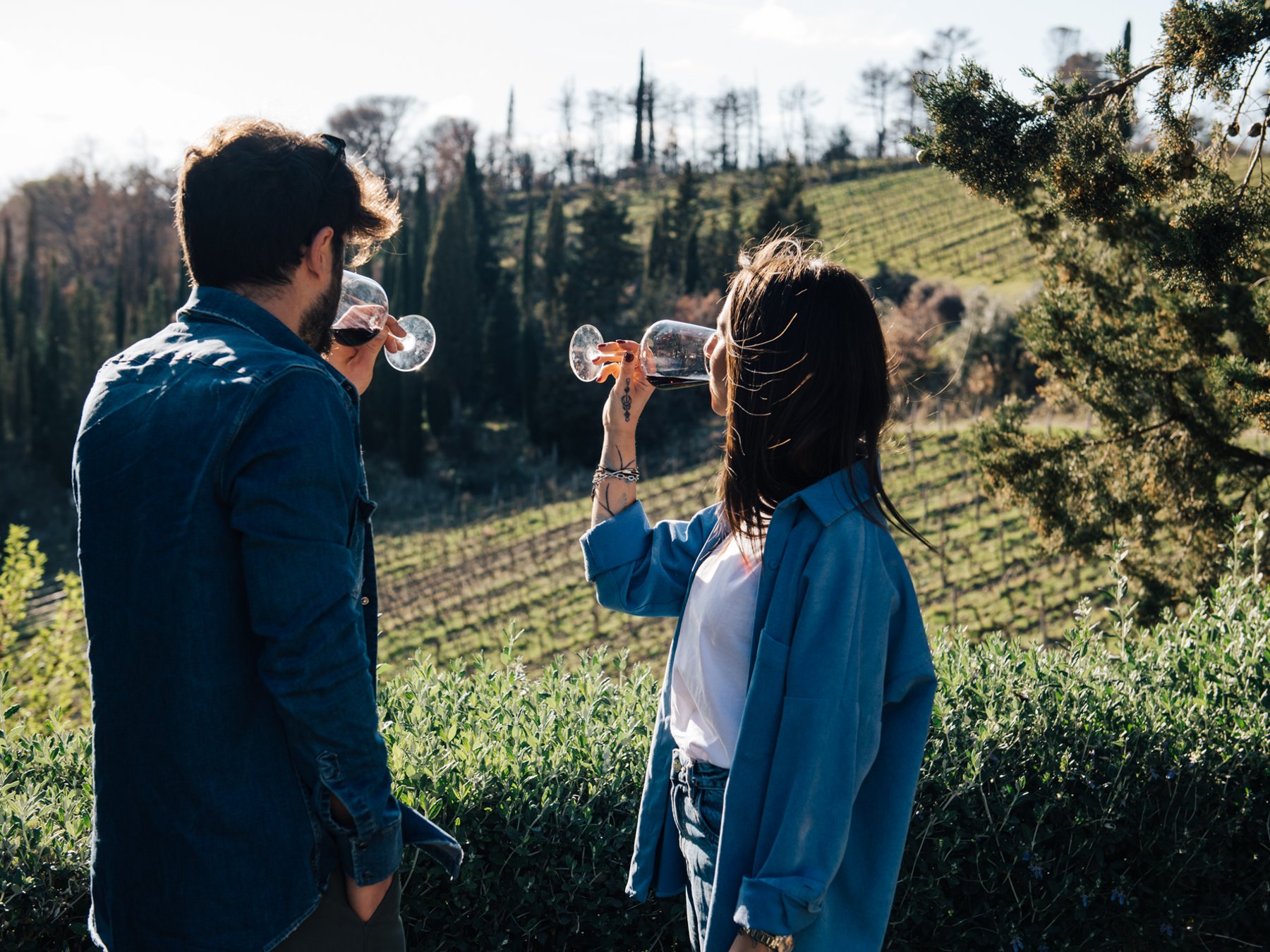 Chianti: Tagesausflug von Florenz + Wein Tour & Verkostung
