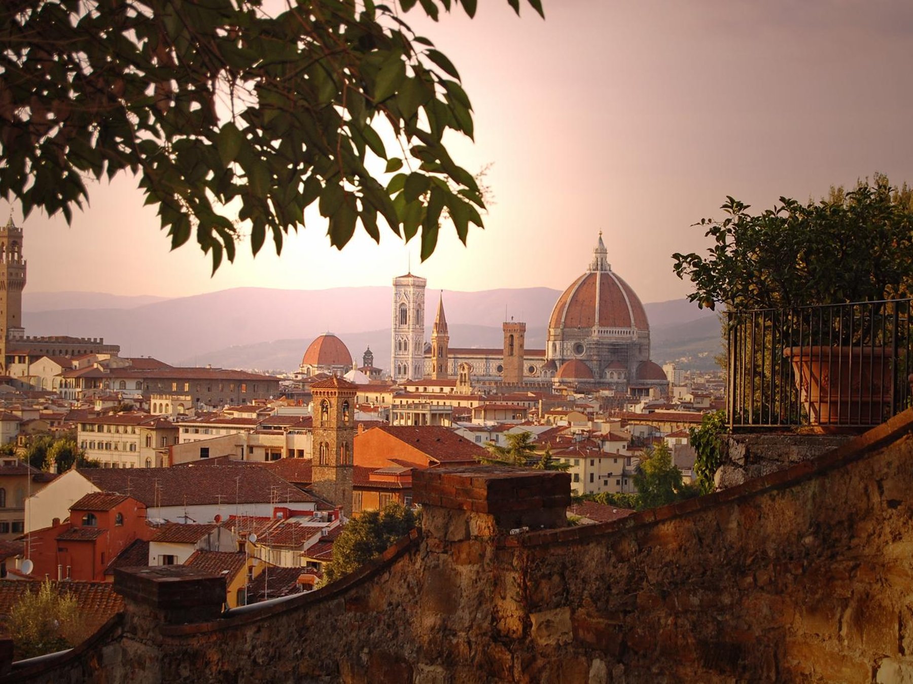 Roma Firenze in 1 giorno: Tour del Rinascimento da Roma