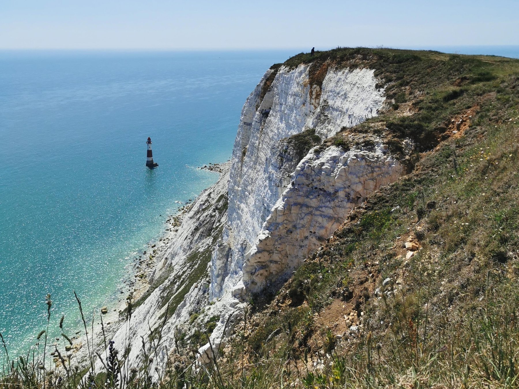 South Downs Weiße Klippen Tagesausflug mit Zugtickets