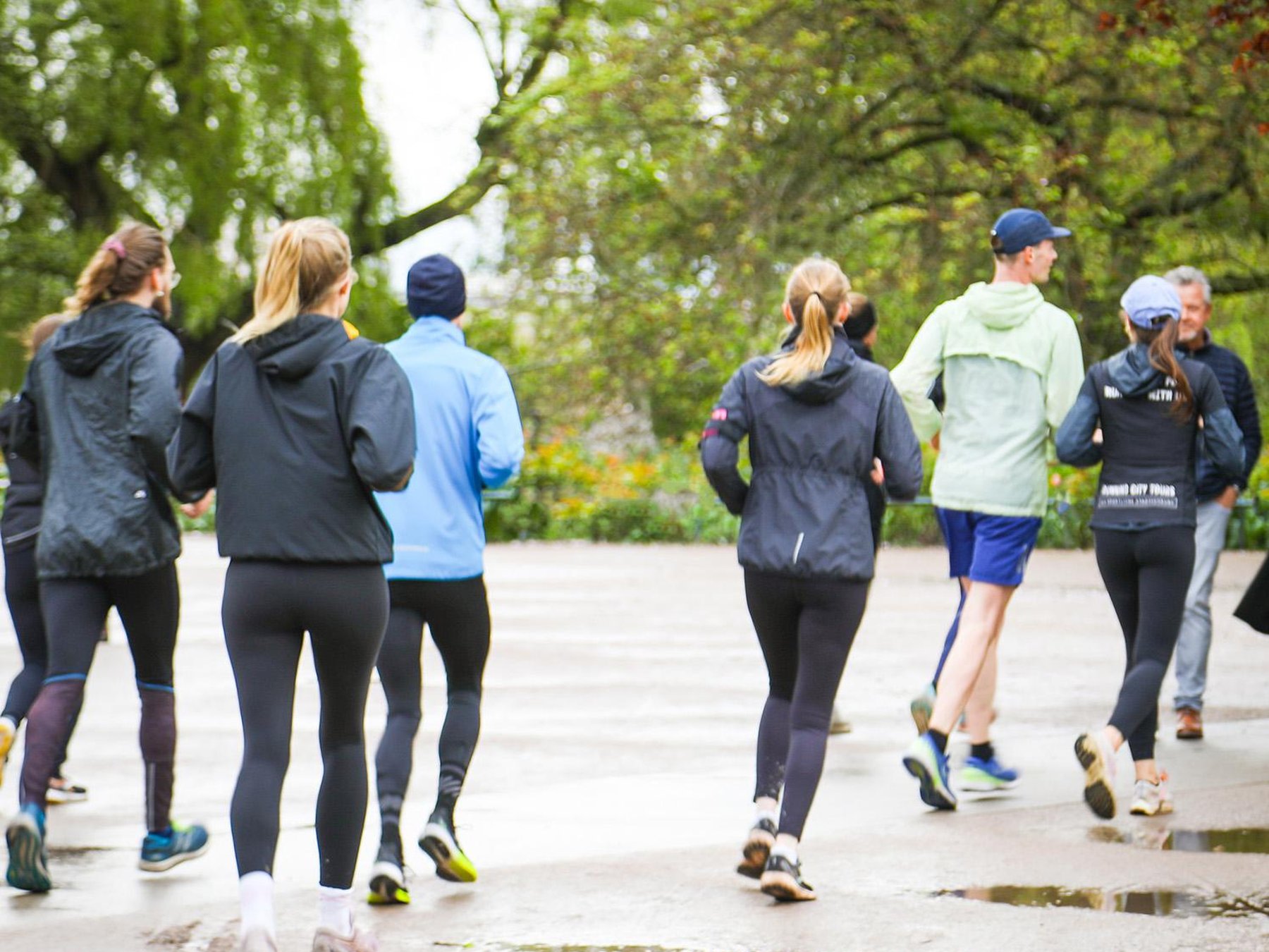In Dresden: Geführter Spaziergang/Lauf-Tour mit garantierten Insider-Tipps 1h 30m