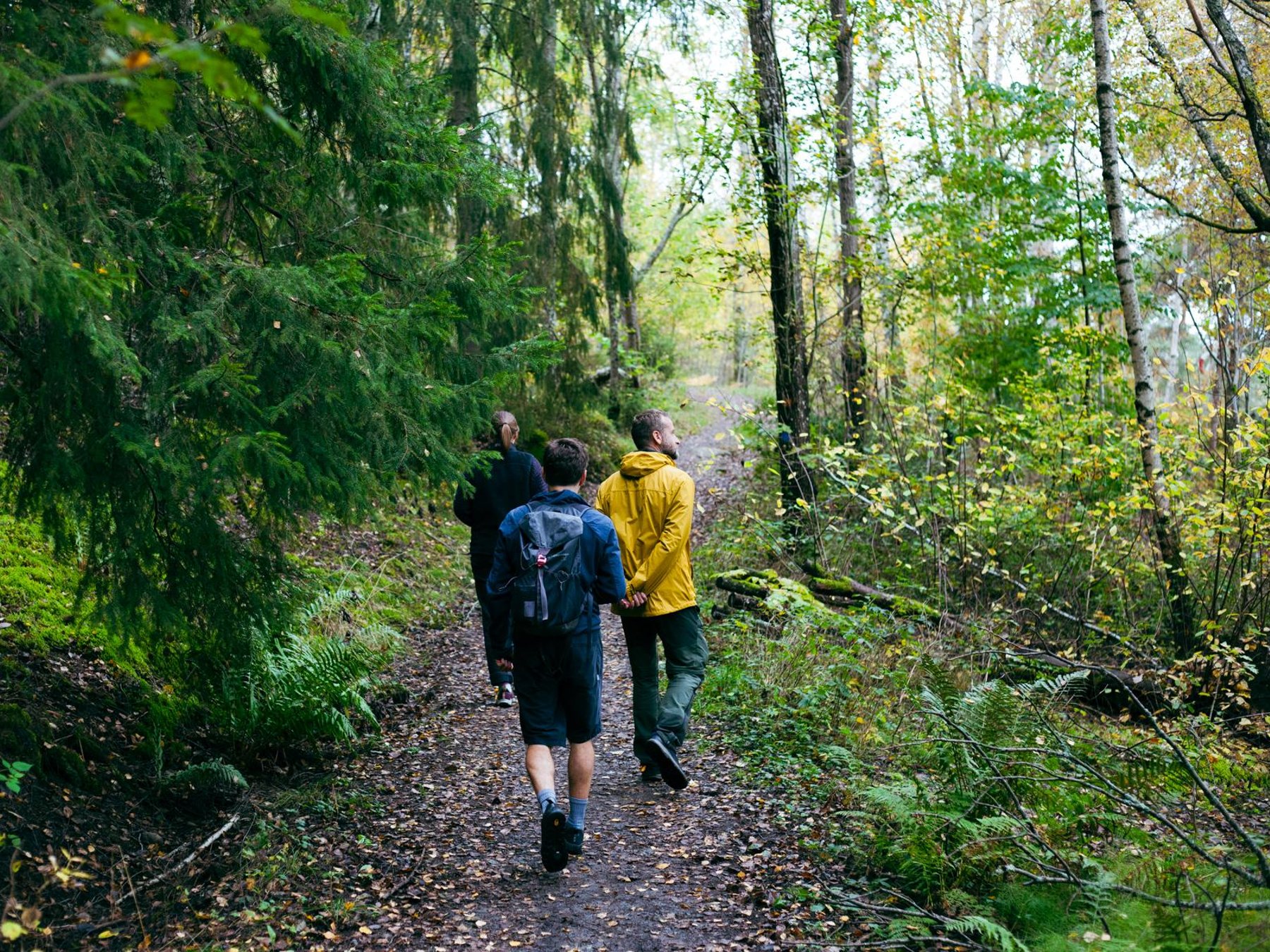 Wanderung, Waldmittagessen und Kaltwasser-Floating