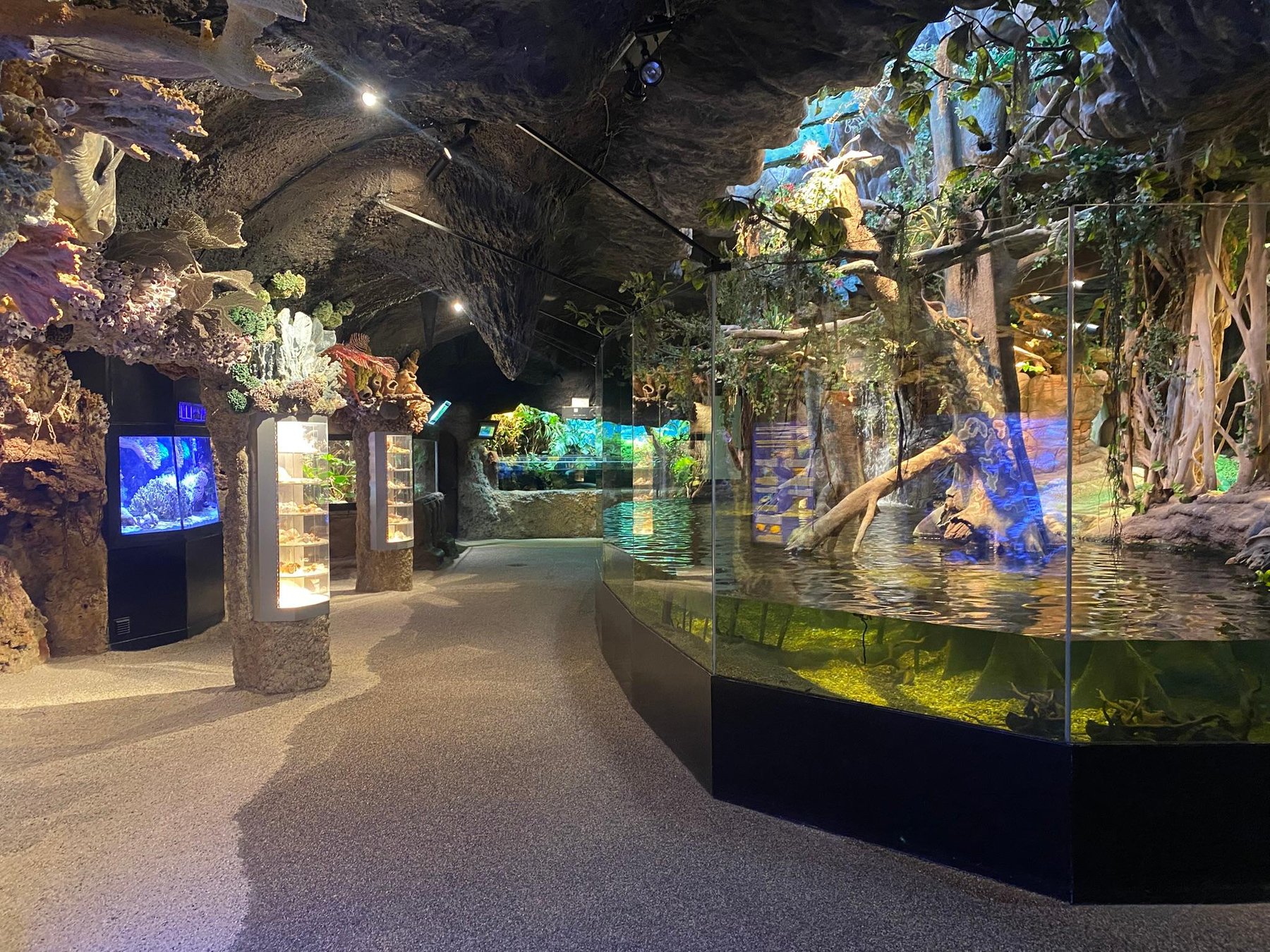 Die Skansen Aquarium Eintrittskarte