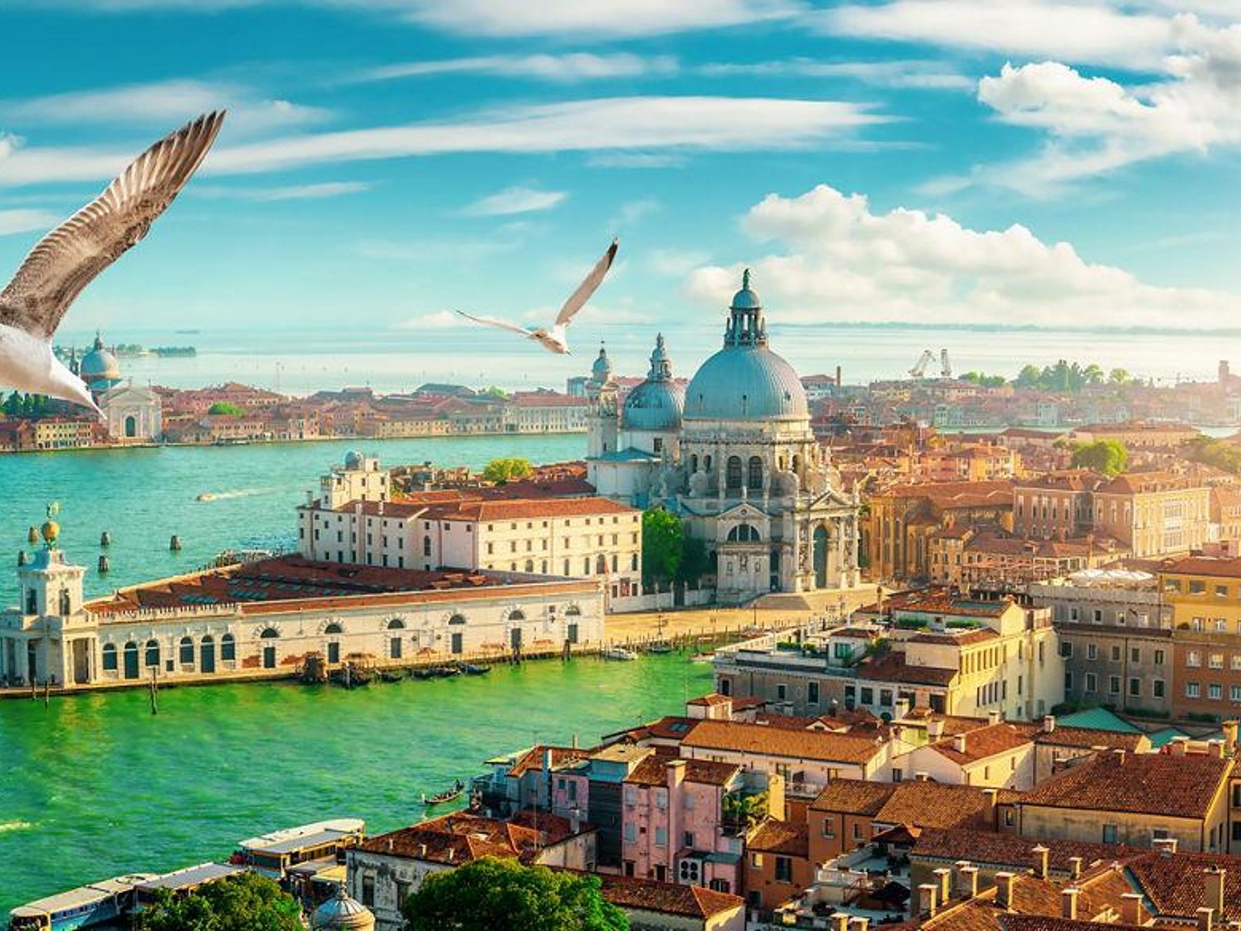 Venedig Inseln: Bootstour von Punta Sabbioni