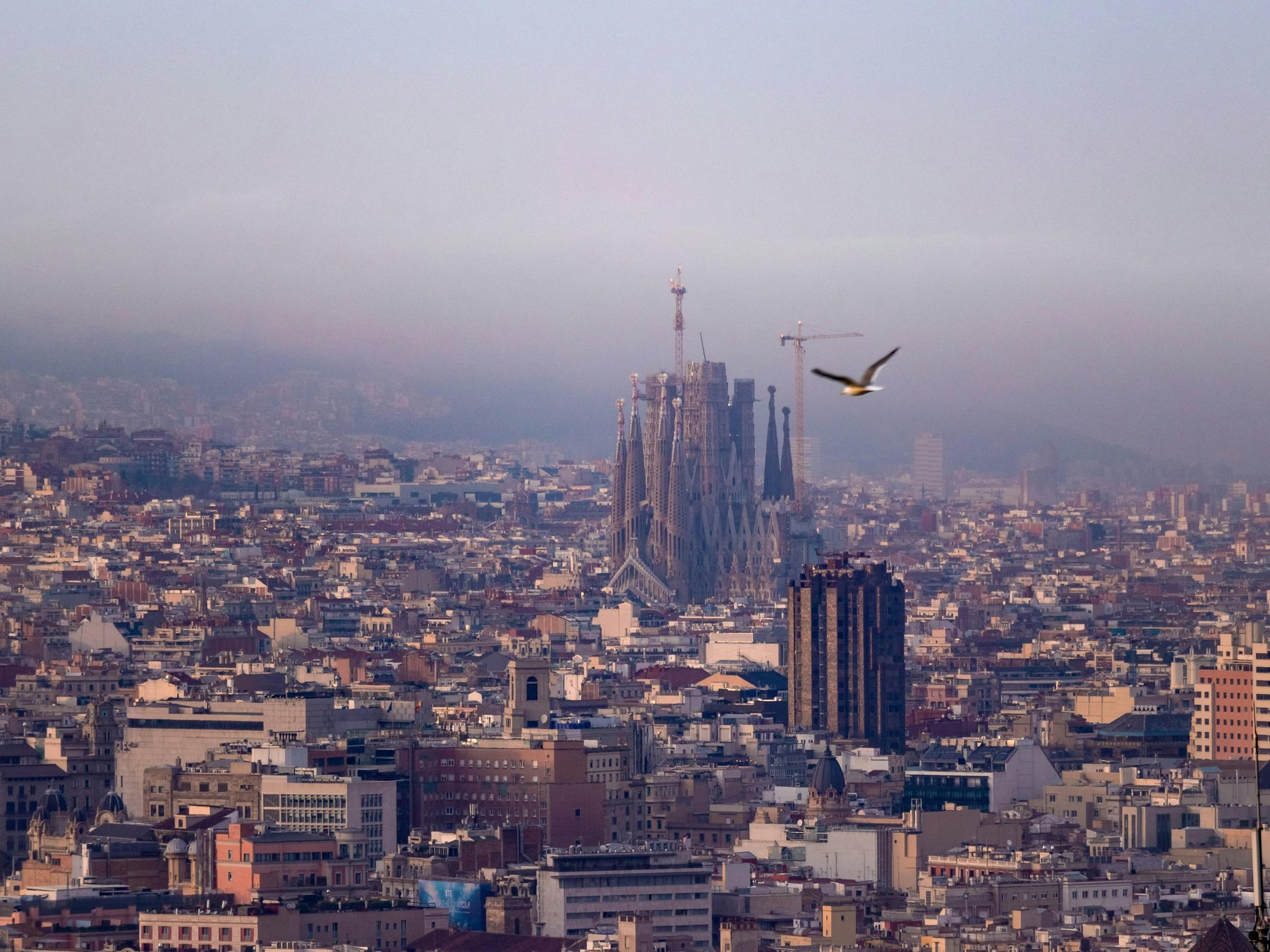 Sagrada Família Geführte Tour mit Eintrittskarte