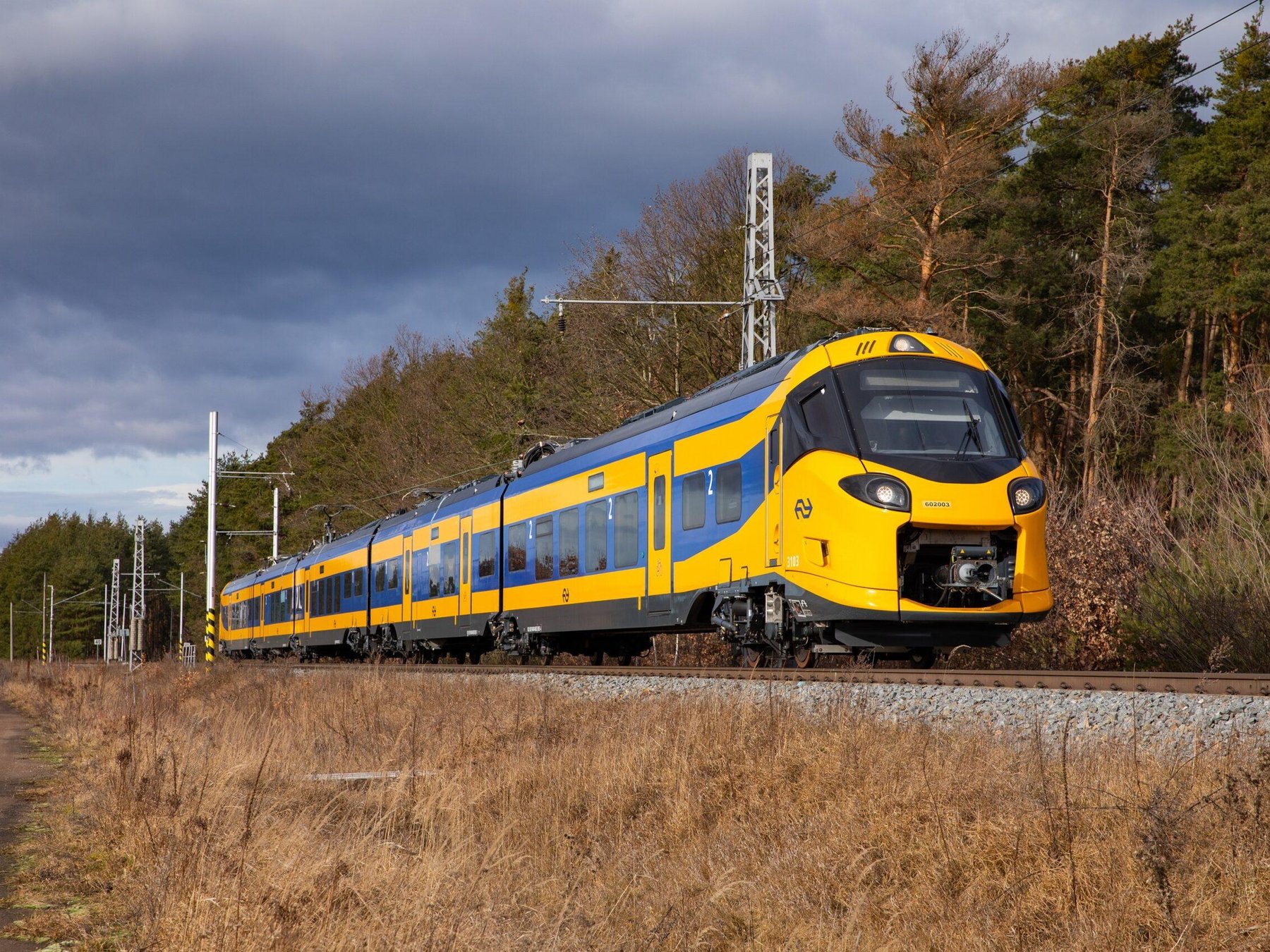 Zug + Bus-Transfer nach/von Beekse Bergen