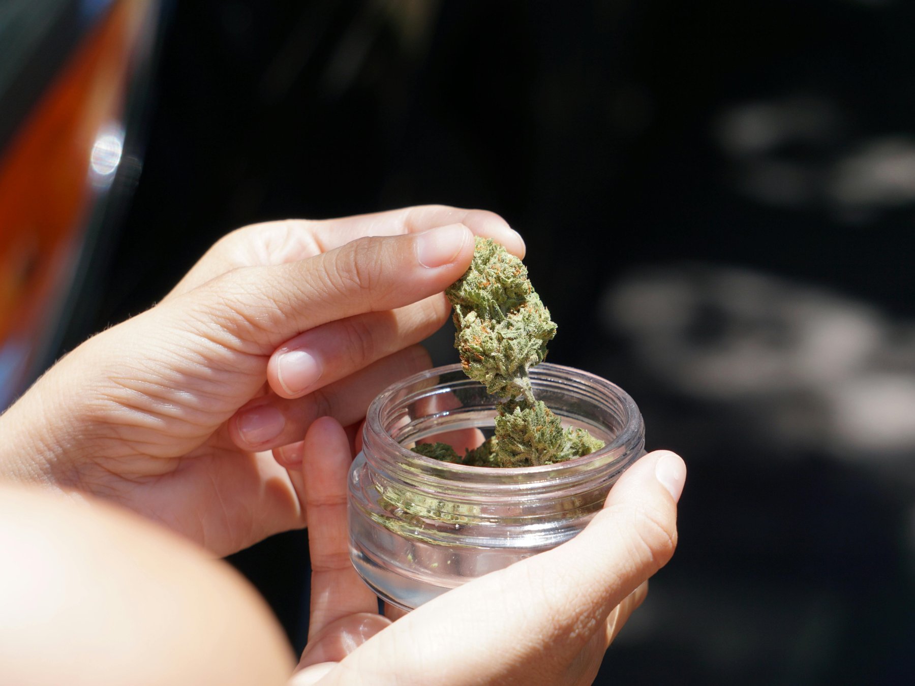 Private Cannabis-Kultur-Tour mit Coffeeshops