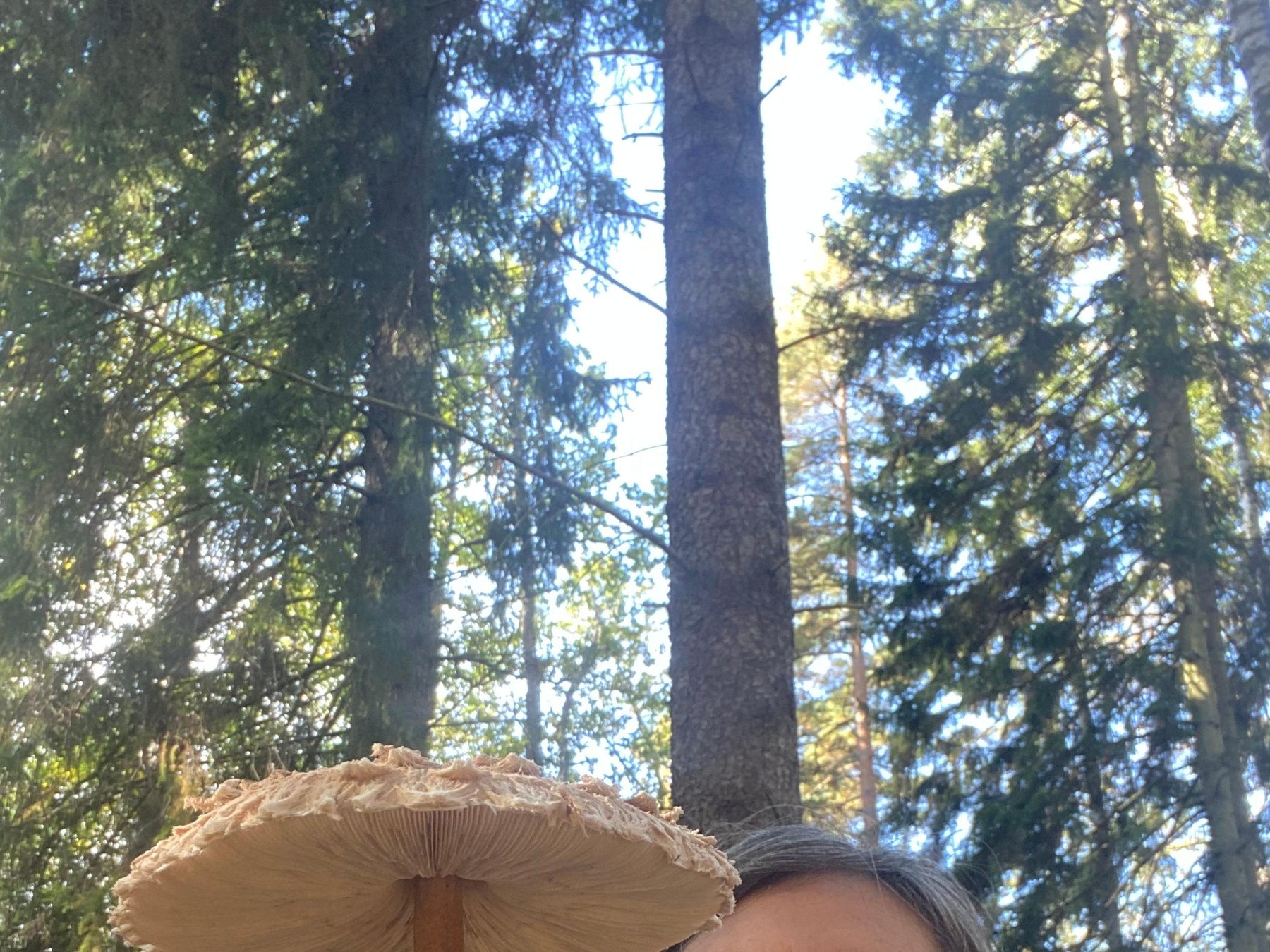 Lidingö Pilz-, Pflanzen- & Beerensammeln mit einem Biologen