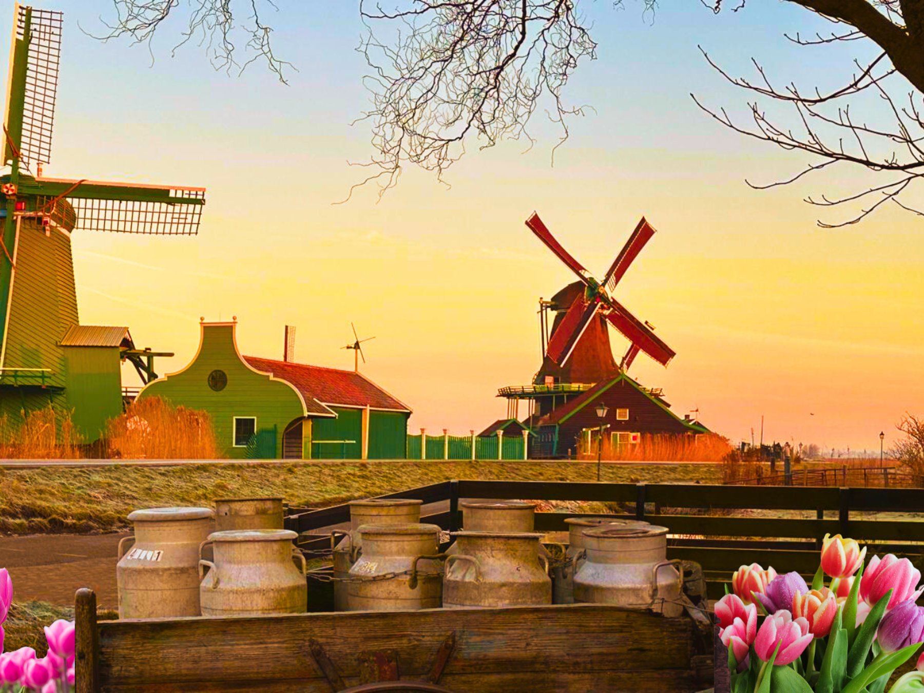Giethoorn & Zaanse Schans Kleingruppen-Tagesausflug