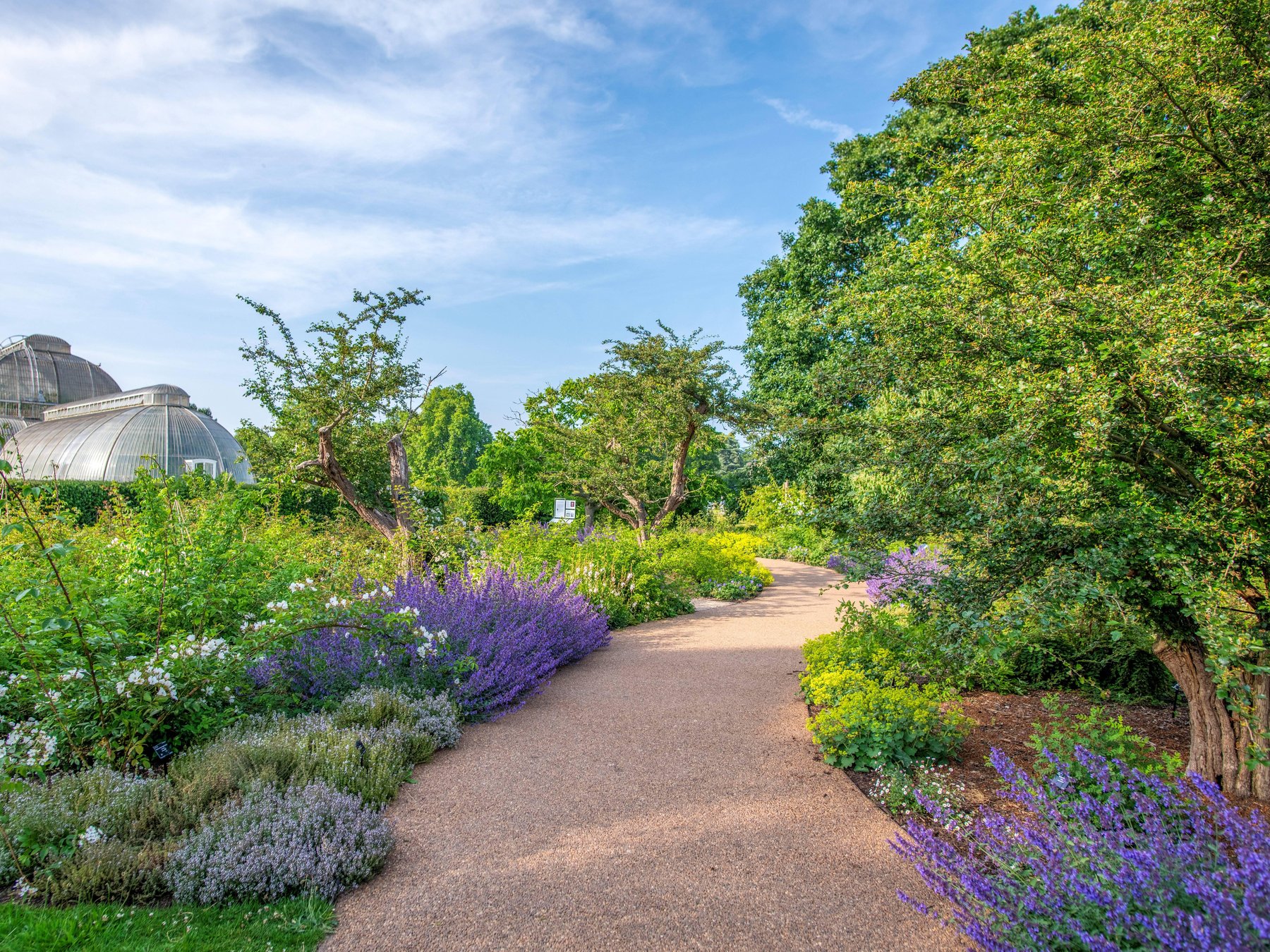 In LondonKew Gardens Eintrittskarte