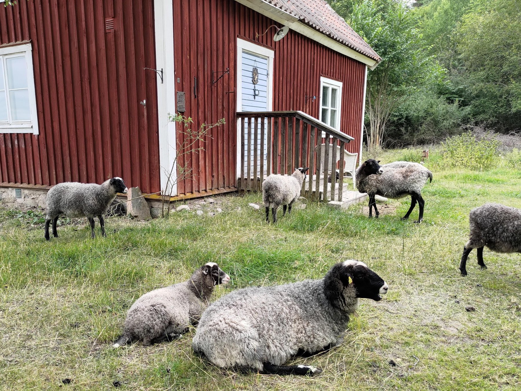 Arlanda nach Stockholm oder umgekehrt mit Wikinger-Tour & Fika-Stopp