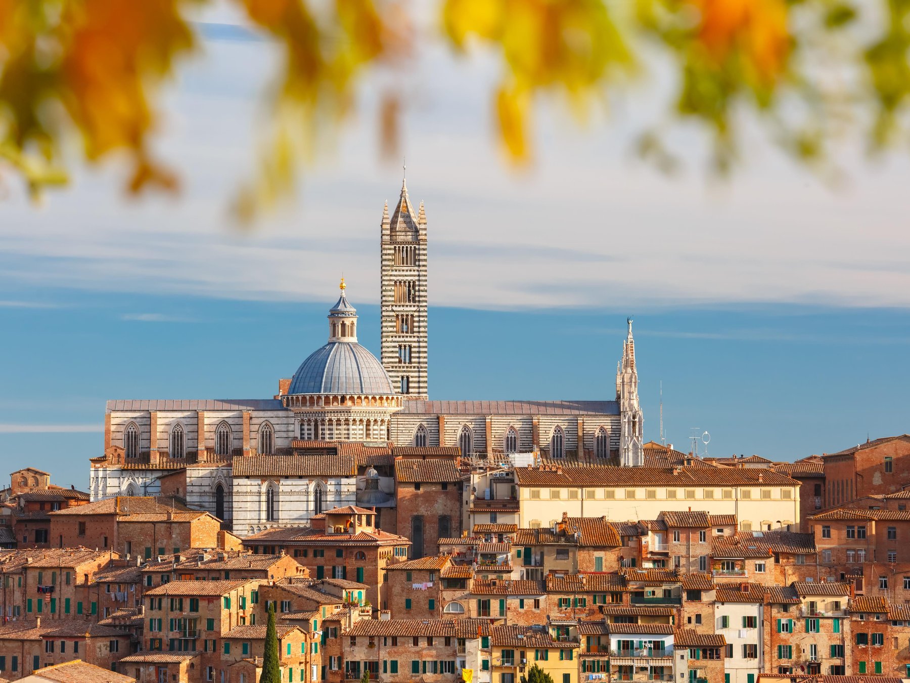 Pisa, Siena und San Gimigniano: Tagesausflug von Florenz + Weinverkostung