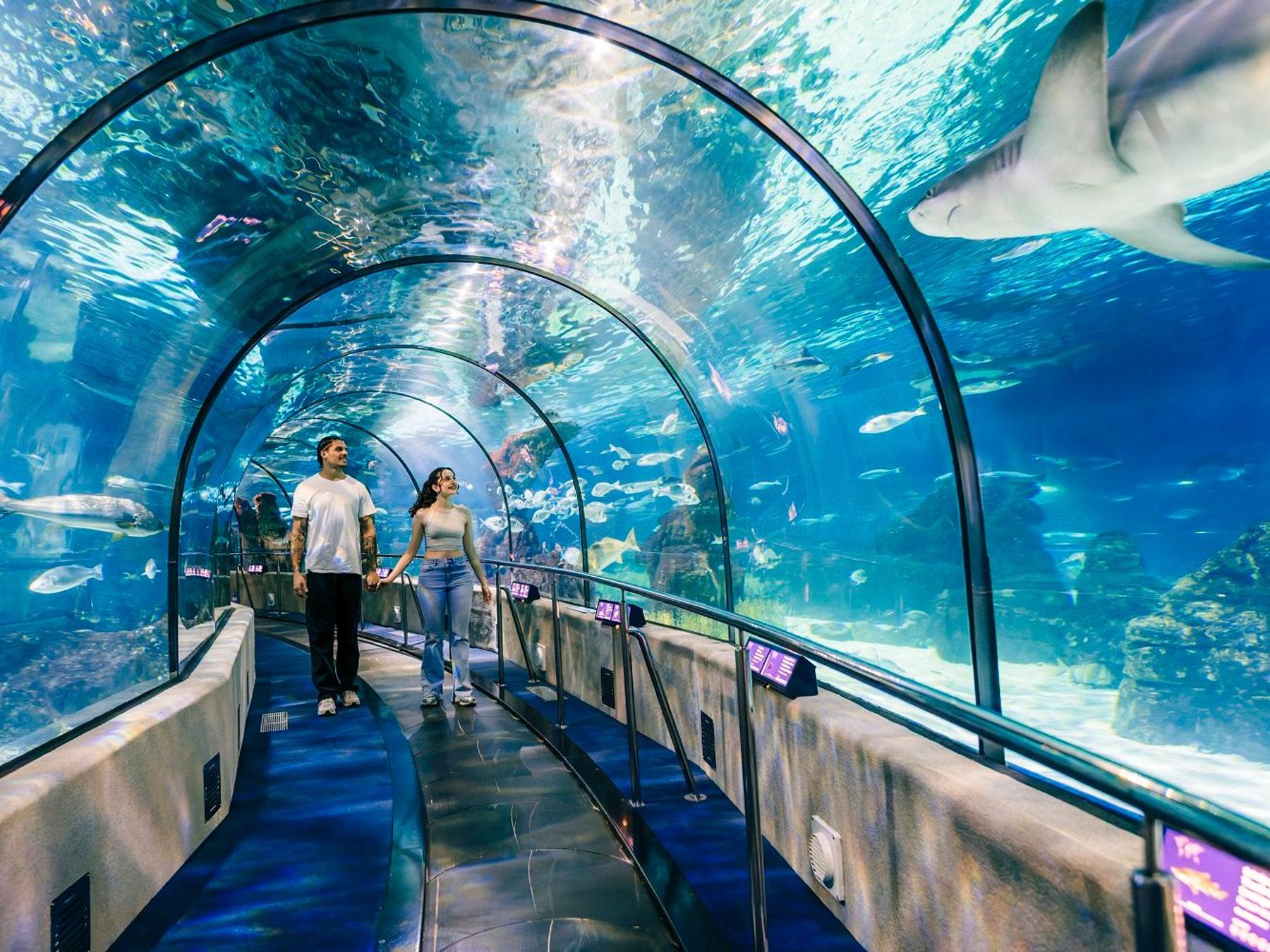 Hop-On Hop-Off Bus & Aquarium-Tour