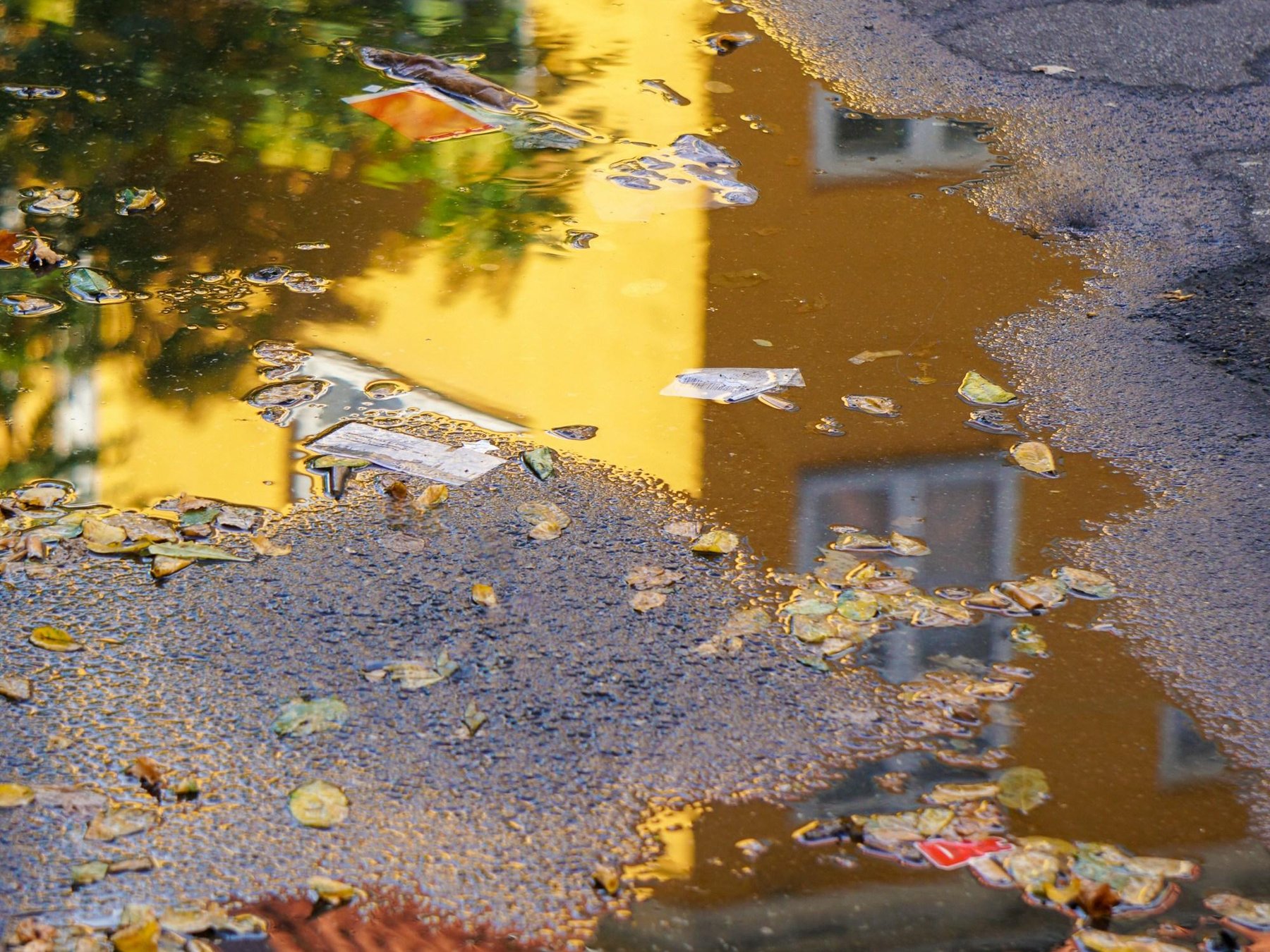 Østerbro: Abendliche Leckereien & Einblicke Rundgang