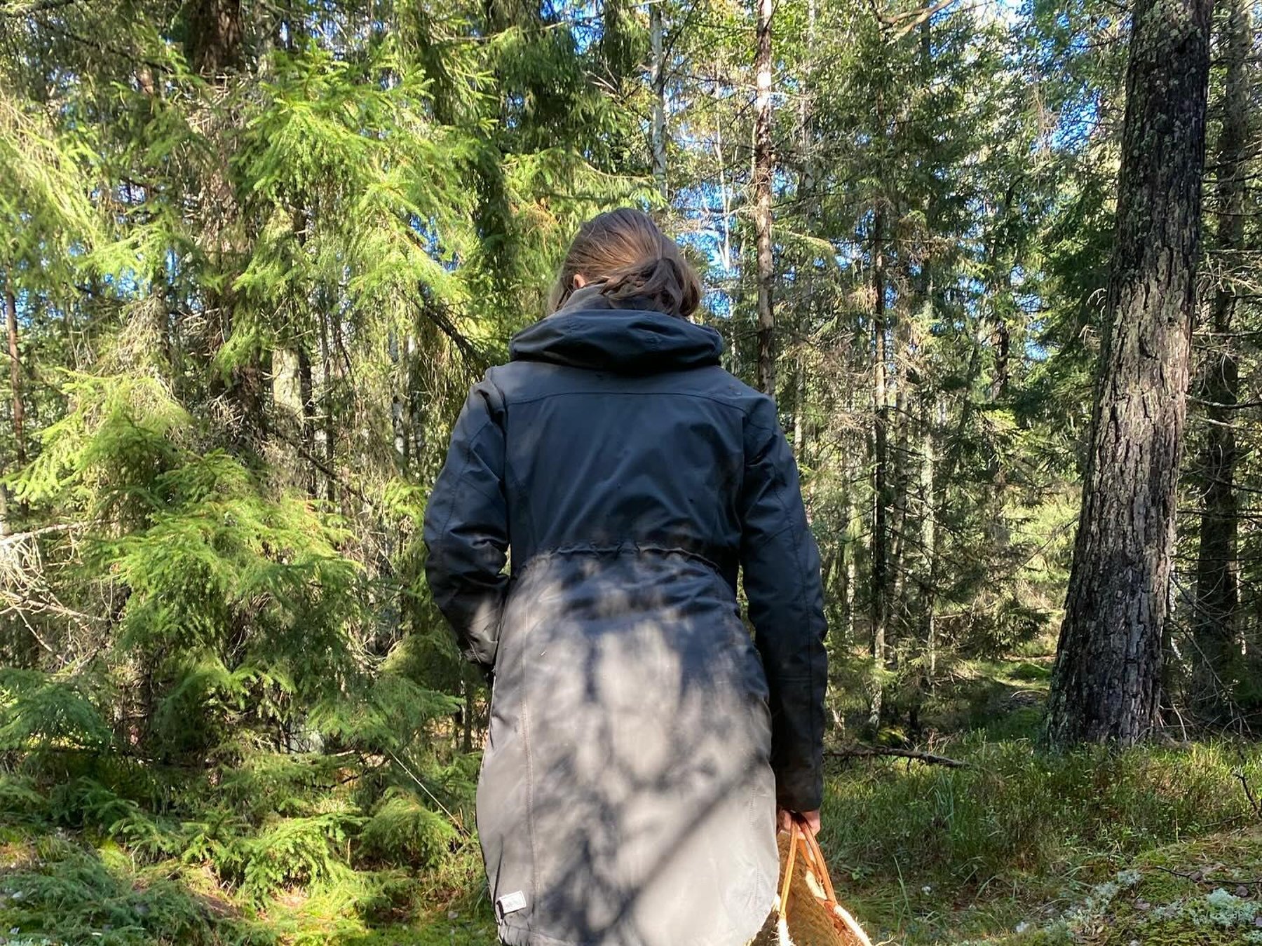 Lidingö Stockholm, Pilz- und Wildpflanzen-Sammeltour mit Experte