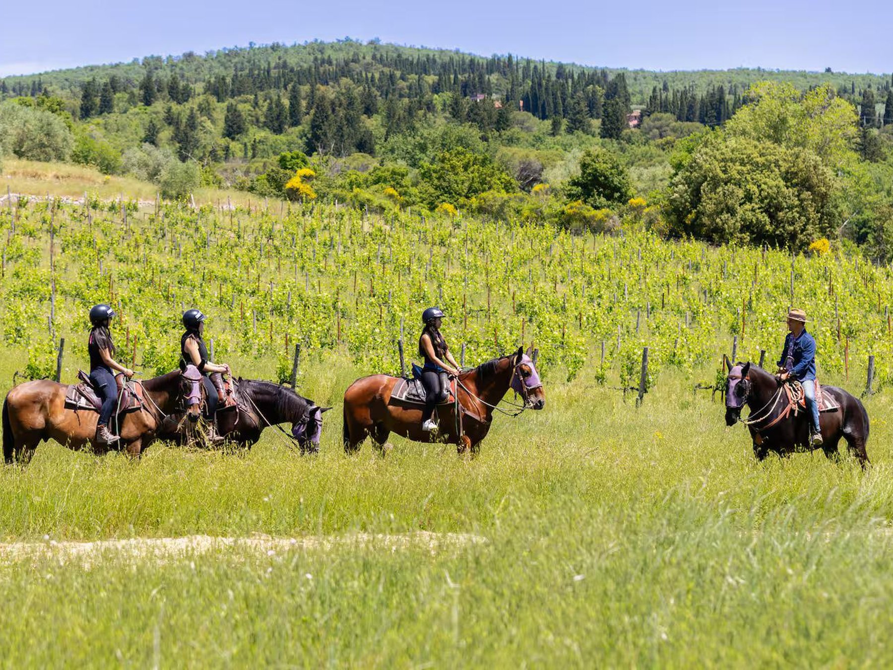Reittour mit Weinprobe & Transfer