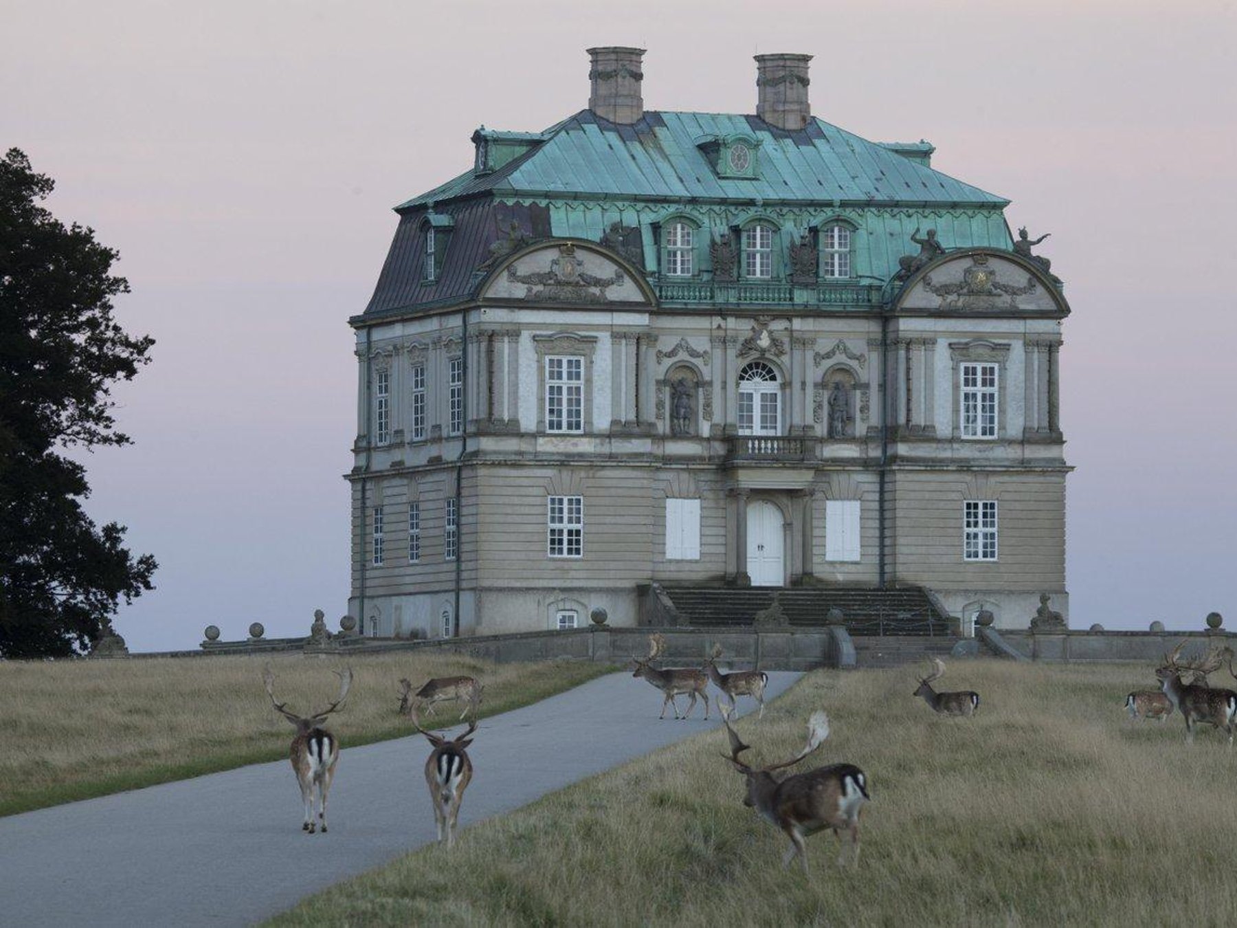 Hirschpark und Eremitage Schloss Geführter Spaziergang