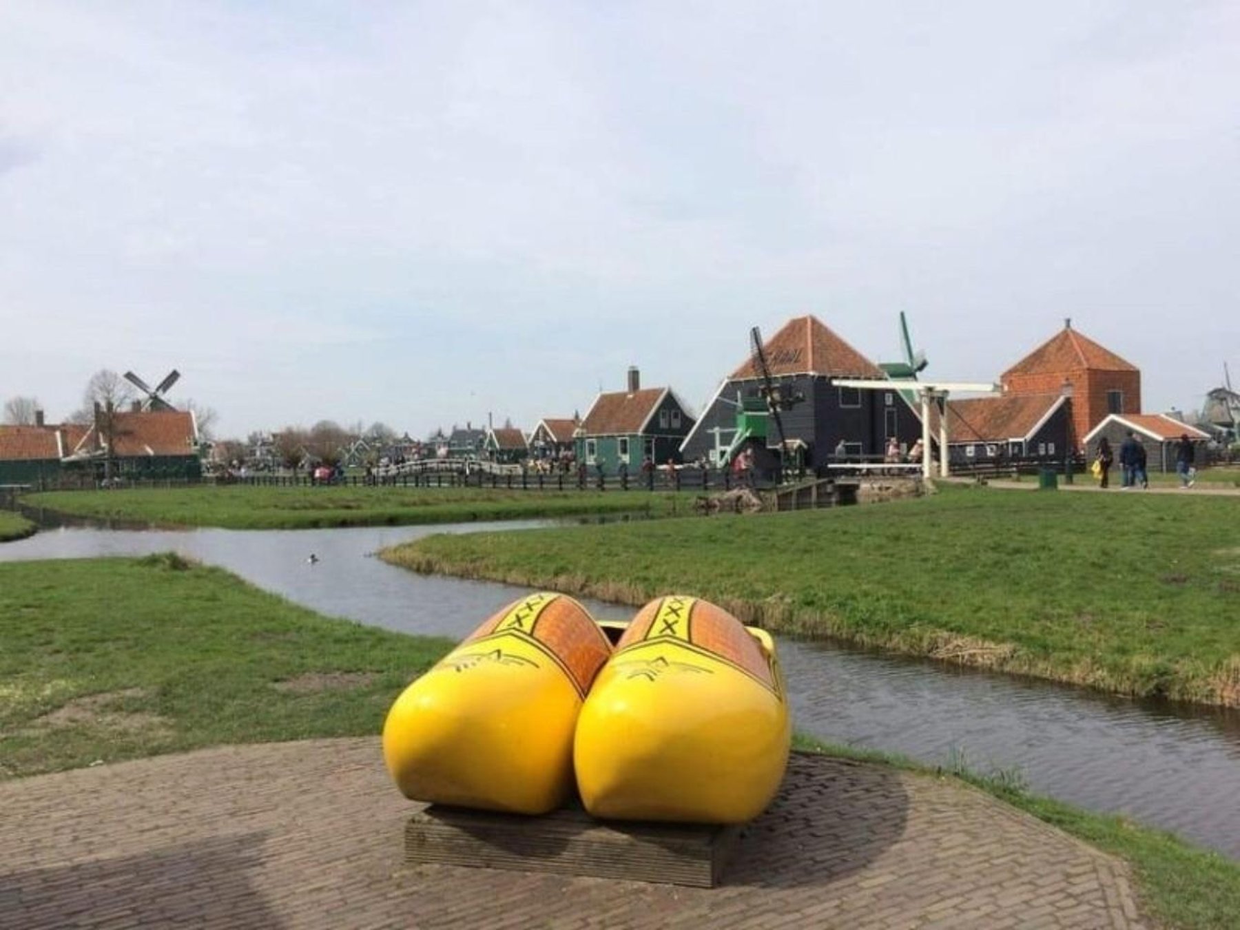 Private Luxus-Tesla-Tour nach Zaanse Schans mit Käseverkostung