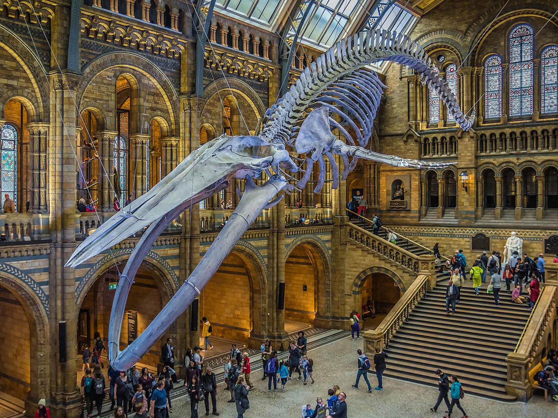 Naturkundemuseum-Abenteuer: Edelsteine, Vulkane, Dinosaurier