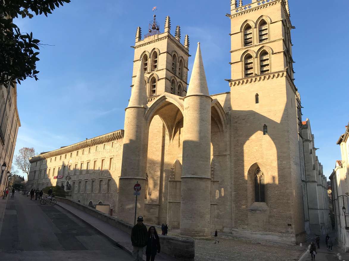 Montpellier : visite à pied privée de la ville médiévale