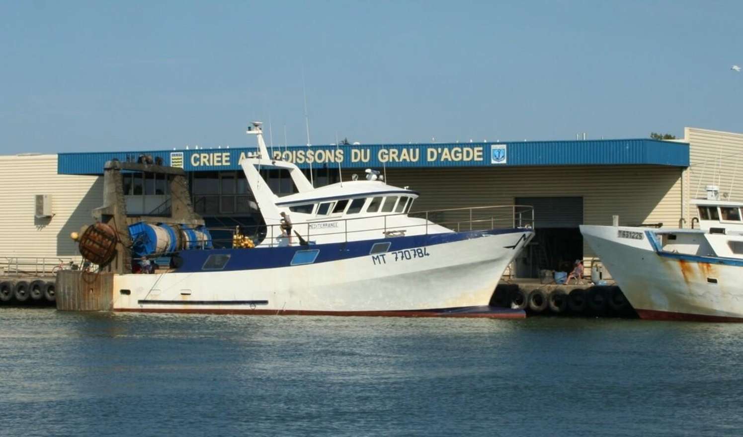 Montpellier : Excursion à Agde, de la criée à la sortie en bateau