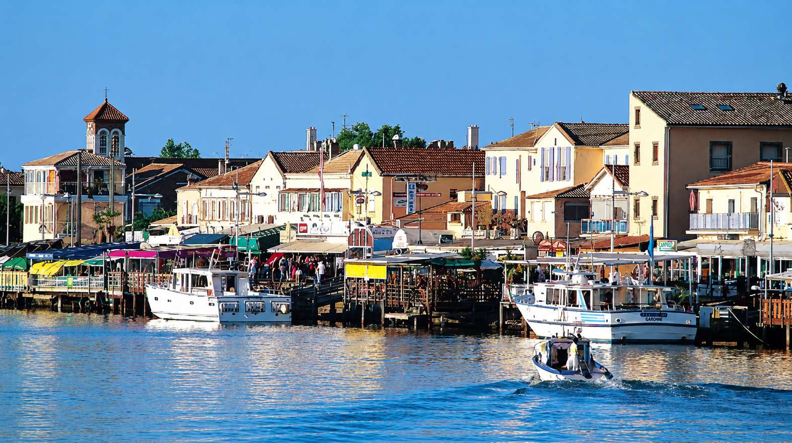 Montpellier : Excursion à Agde, de la criée à la sortie en bateau