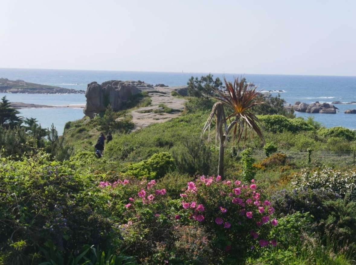Trégastel: Balade Guidée à Vélo Électrique sur la Côte de Granit Rose