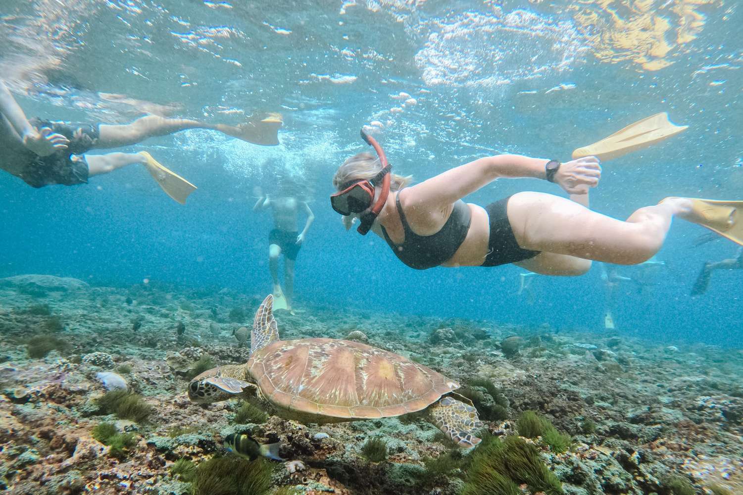 Nusa Penida Manta Ray Snorkeling Tour from Bali - Premium Private Yacht