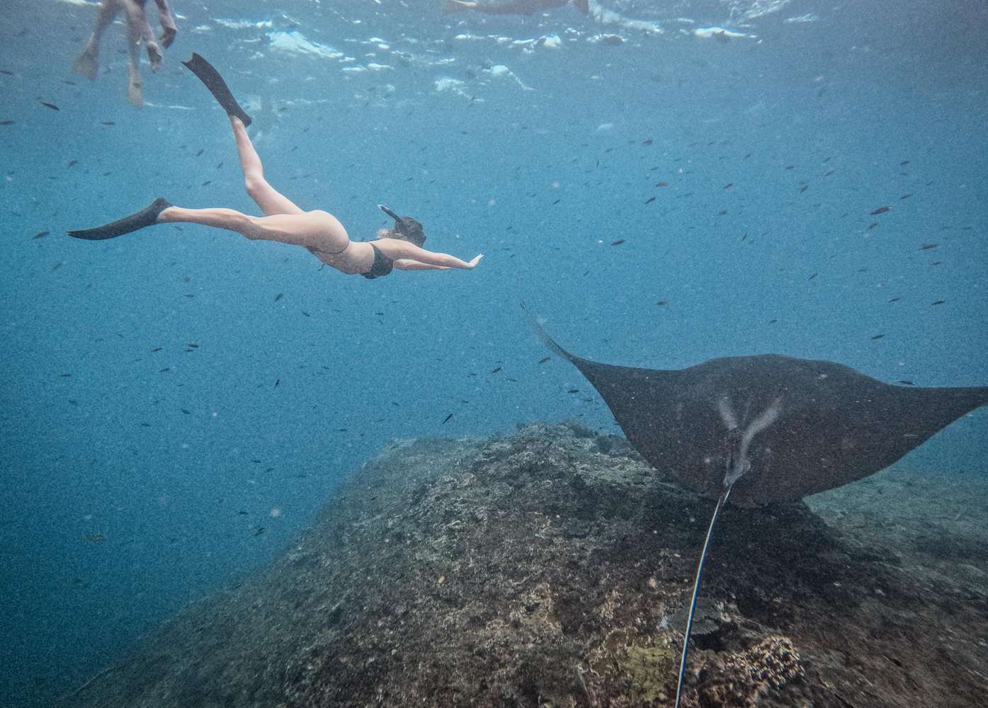 Nusa Penida Manta Ray Snorkeling Tour from Bali - Premium Private Yacht